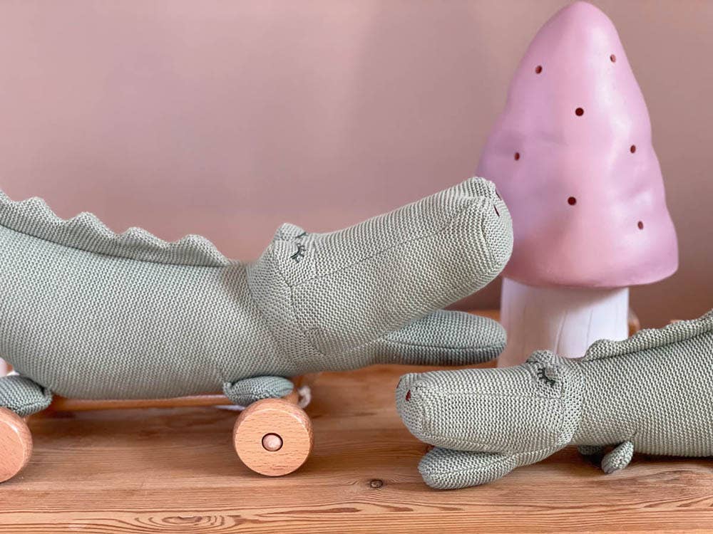 Pull-Along Croc
