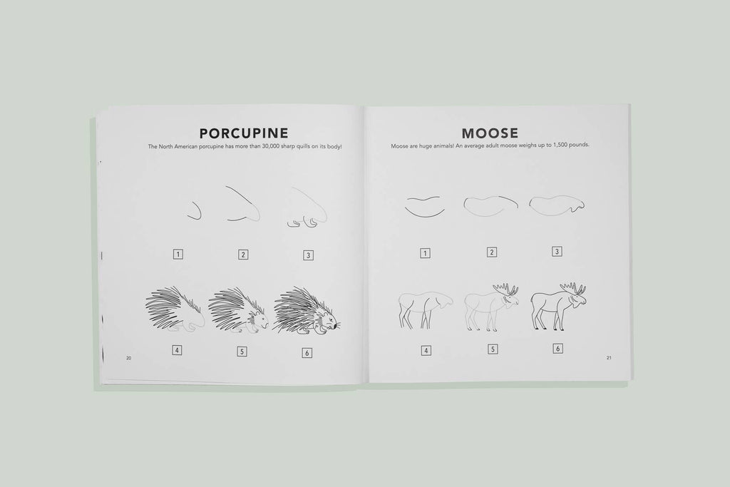 Mushrooms & Woodland Creatures: A Kids Drawing Book