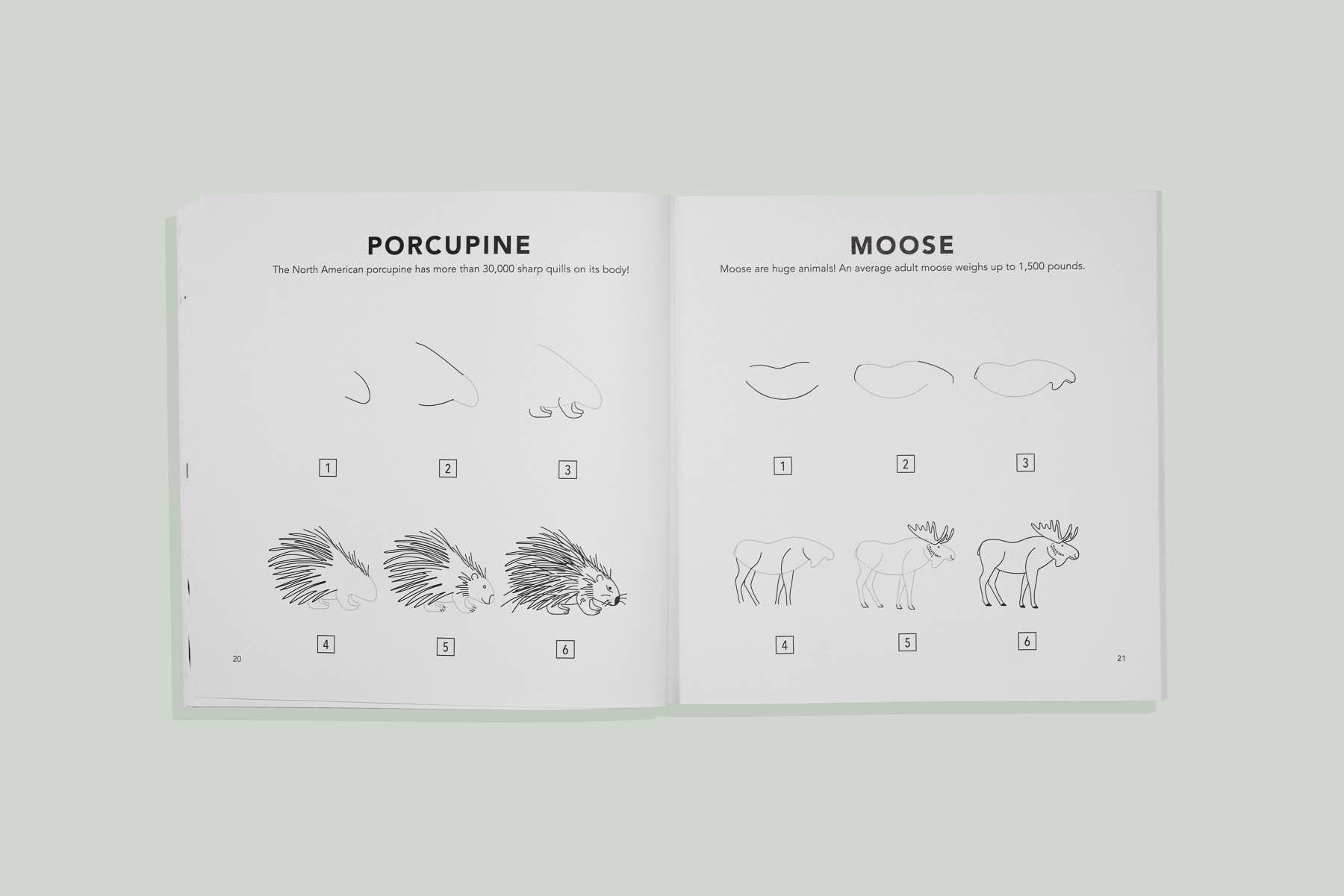 Mushrooms & Woodland Creatures: A Kids Drawing Book