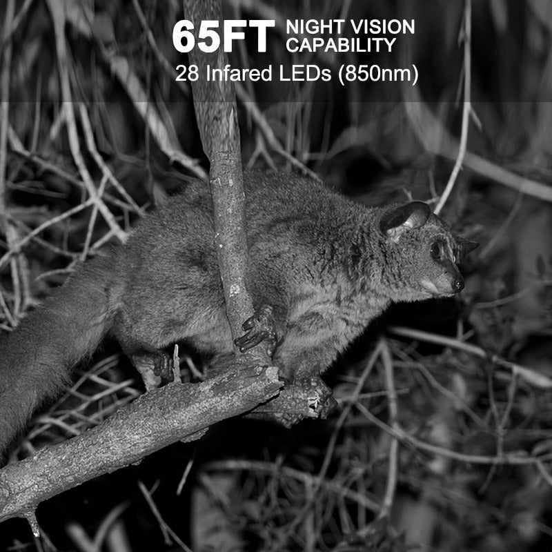 Trail Camera 48MP 4K Night Vision 0.2s Trigger 120 Degree Solar