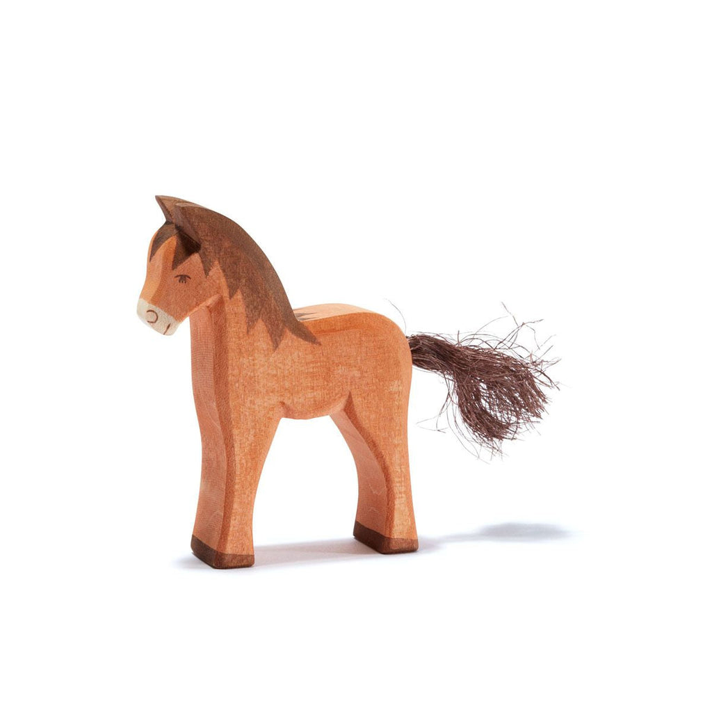 Ostheimer Horse - Brown Colt
