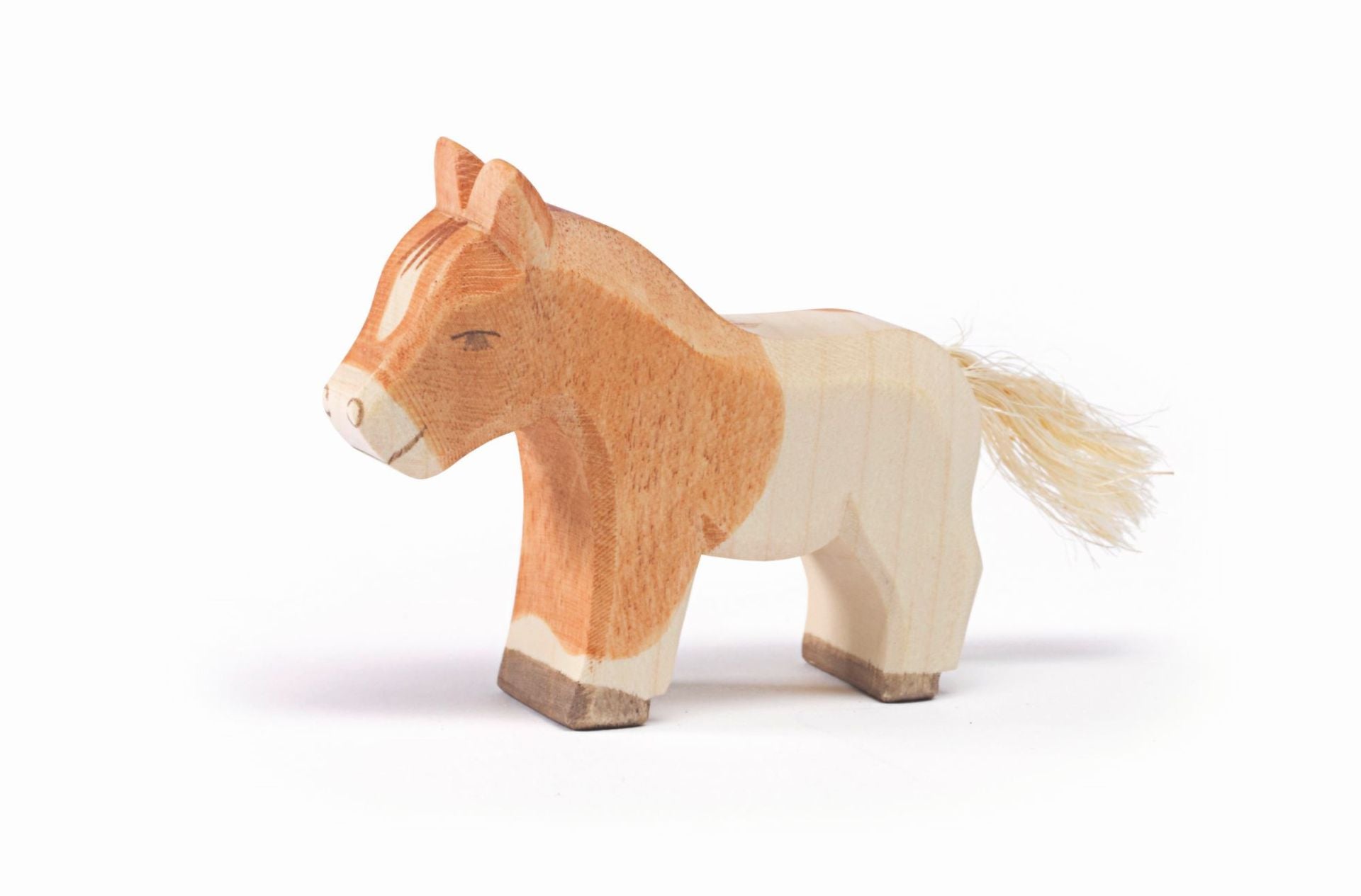 Ostheimer Horse - Shetland Pony Colt