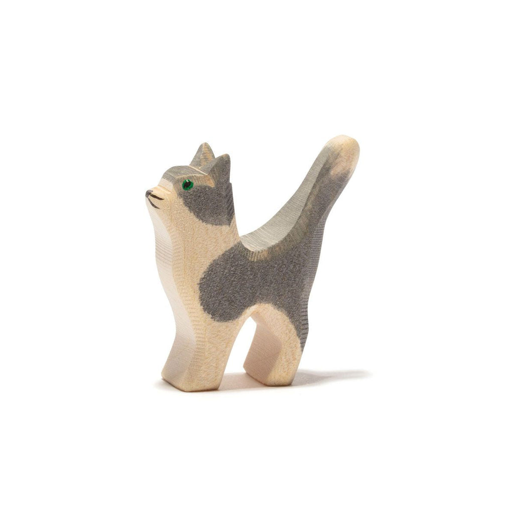 Ostheimer Cat - Gray and White, Head Up