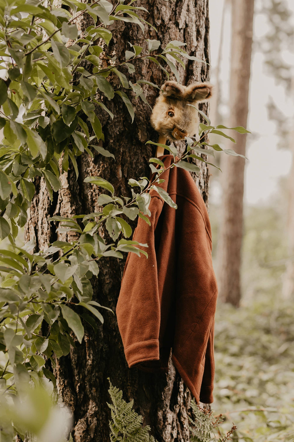 Coat Hanger - Brown Bunny