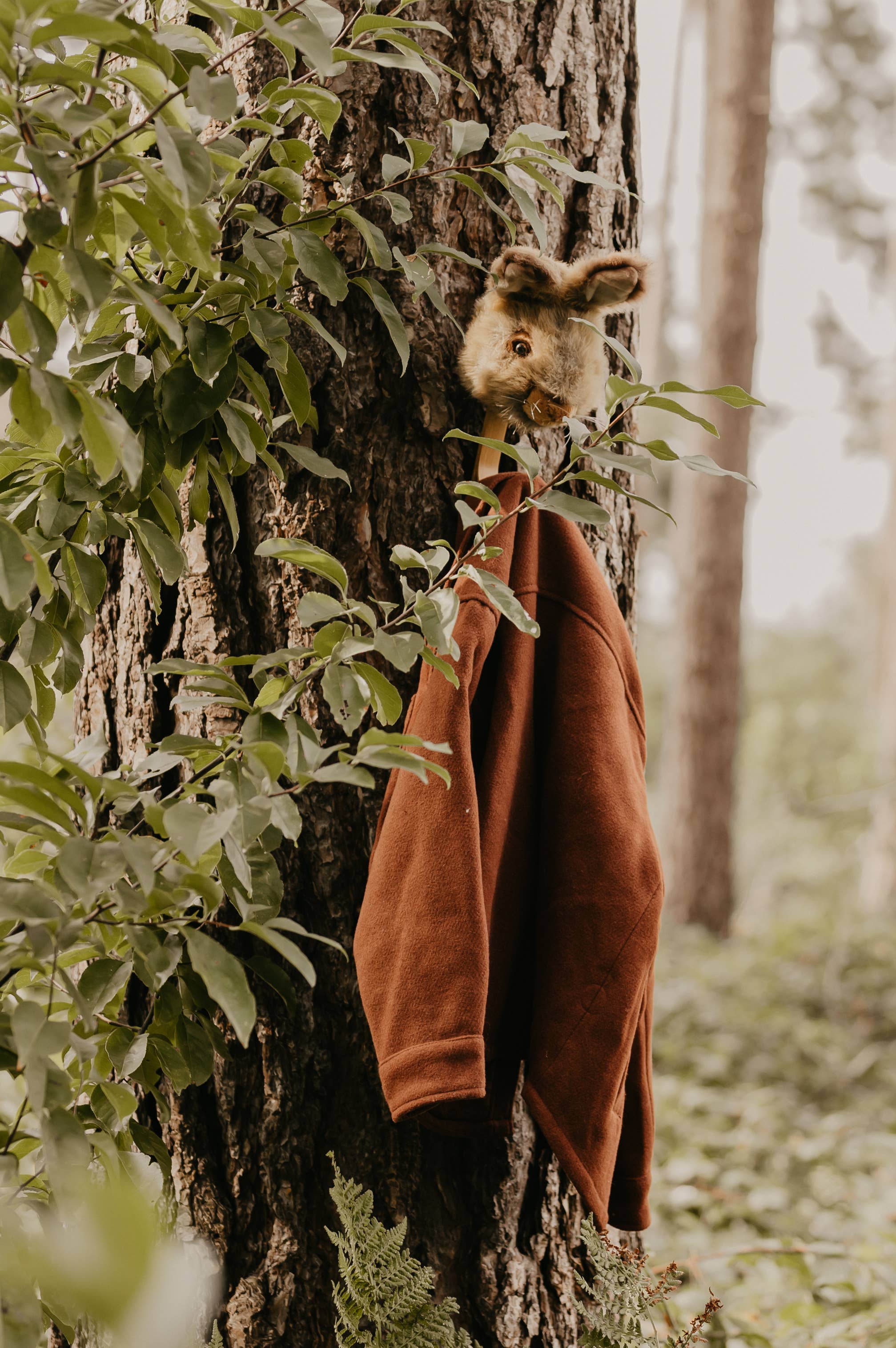 Coat Hanger - Brown Bunny