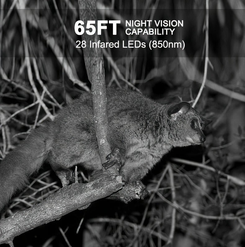 Trail Camera 48MP 4K Night Vision 0.2s Trigger 120 Degree Solar