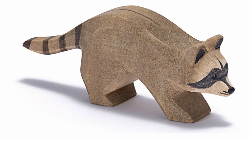 Ostheimer Raccoon Running