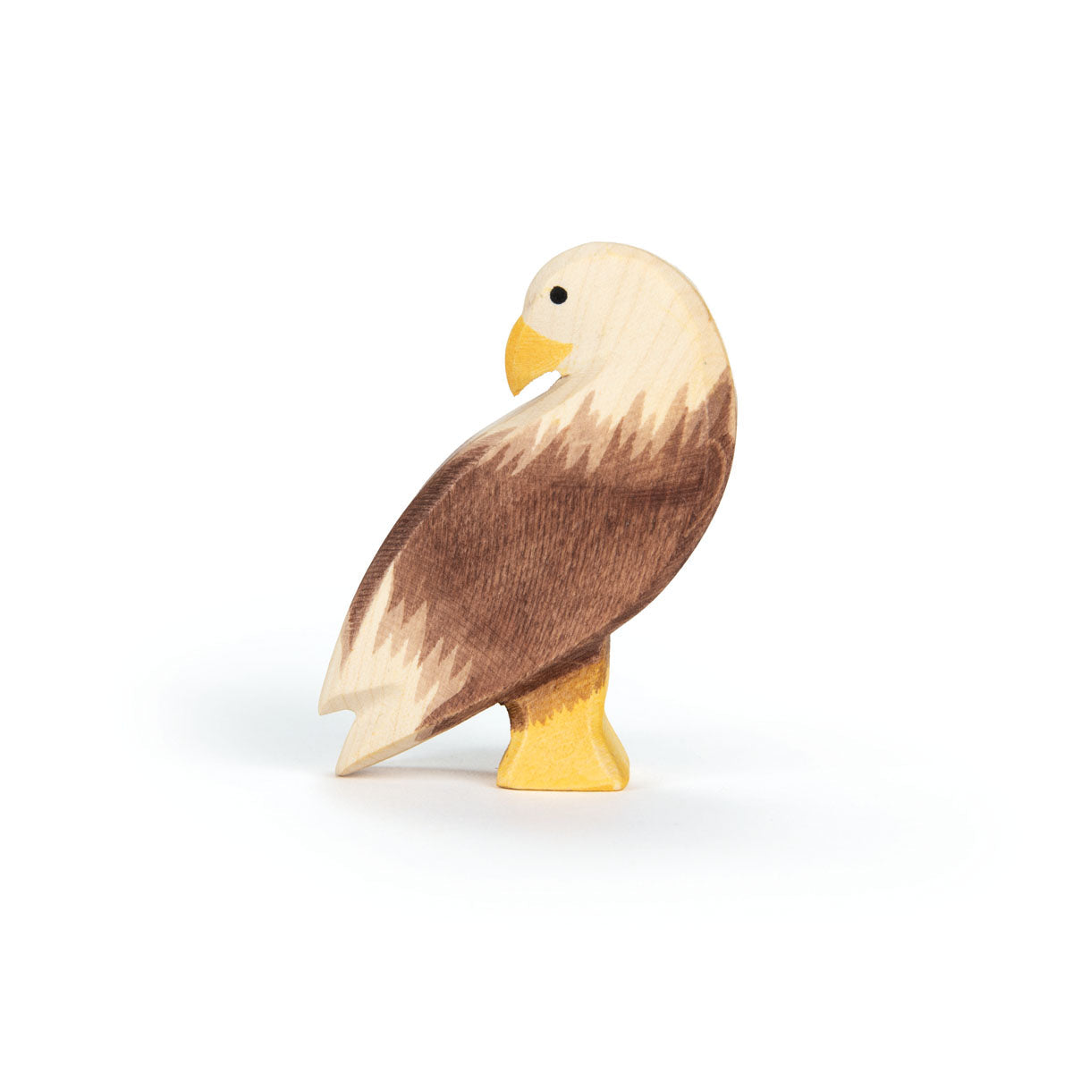 Ostheimer Bird - Bald Eagle, Standing