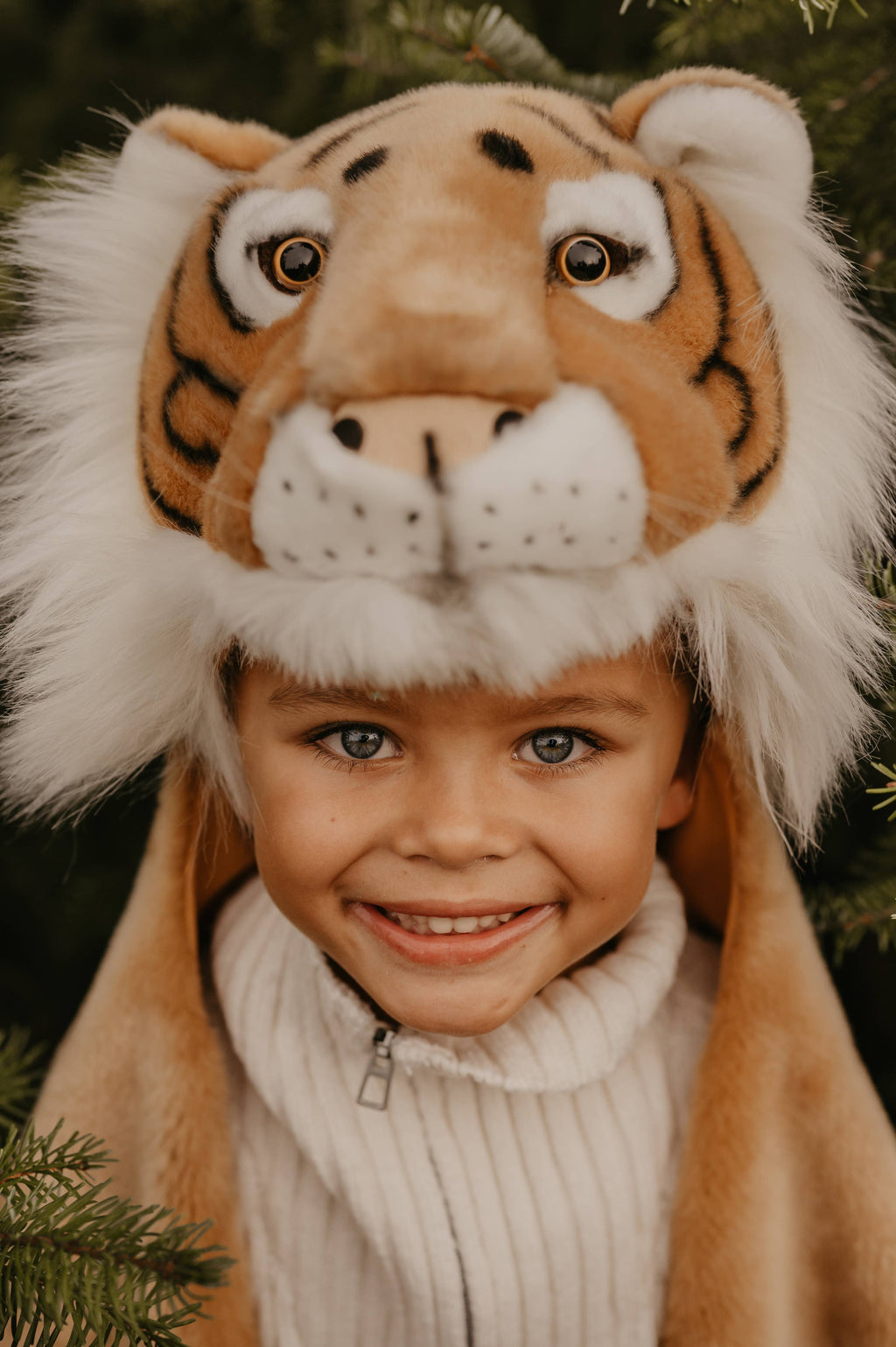 Costume - Tiger