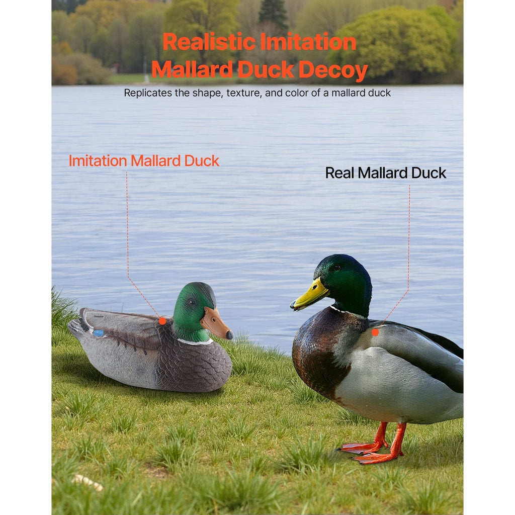 Duck Decoys 6-Pack – Realistic Floating Teal Decoy Set with Bionic Painting, XPE Compression Storage, 3 Male & 3 Female Ducks for Hunting, Pond Garden Yard Decoration, Flock Simulation