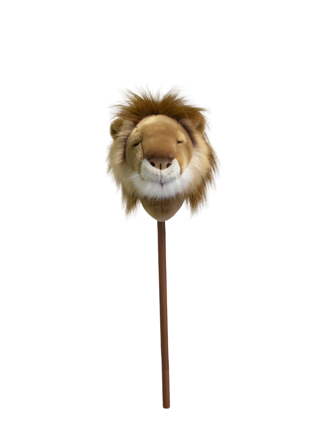 Pretend Play Ride-On Lion