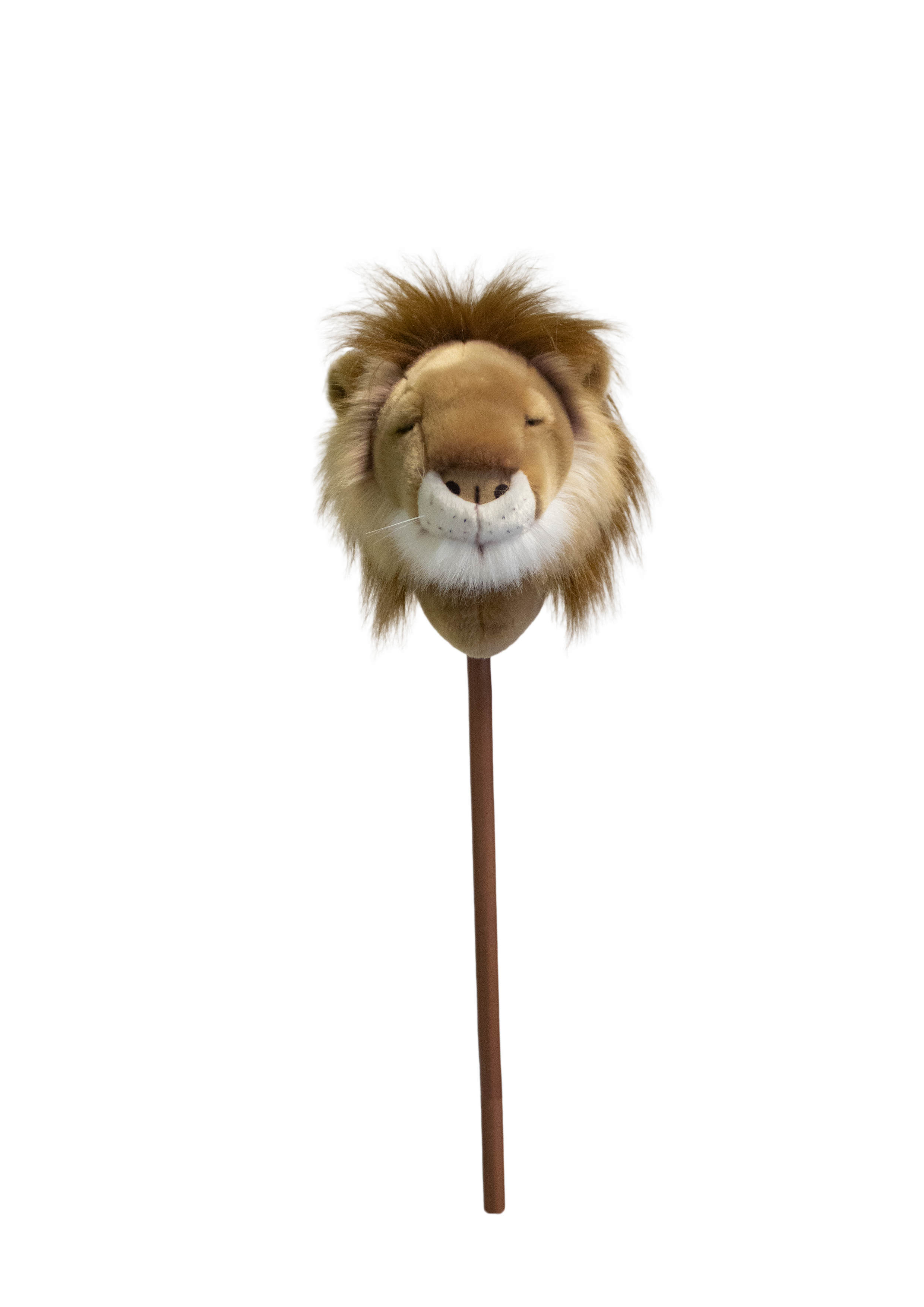 Pretend Play Ride-On Lion