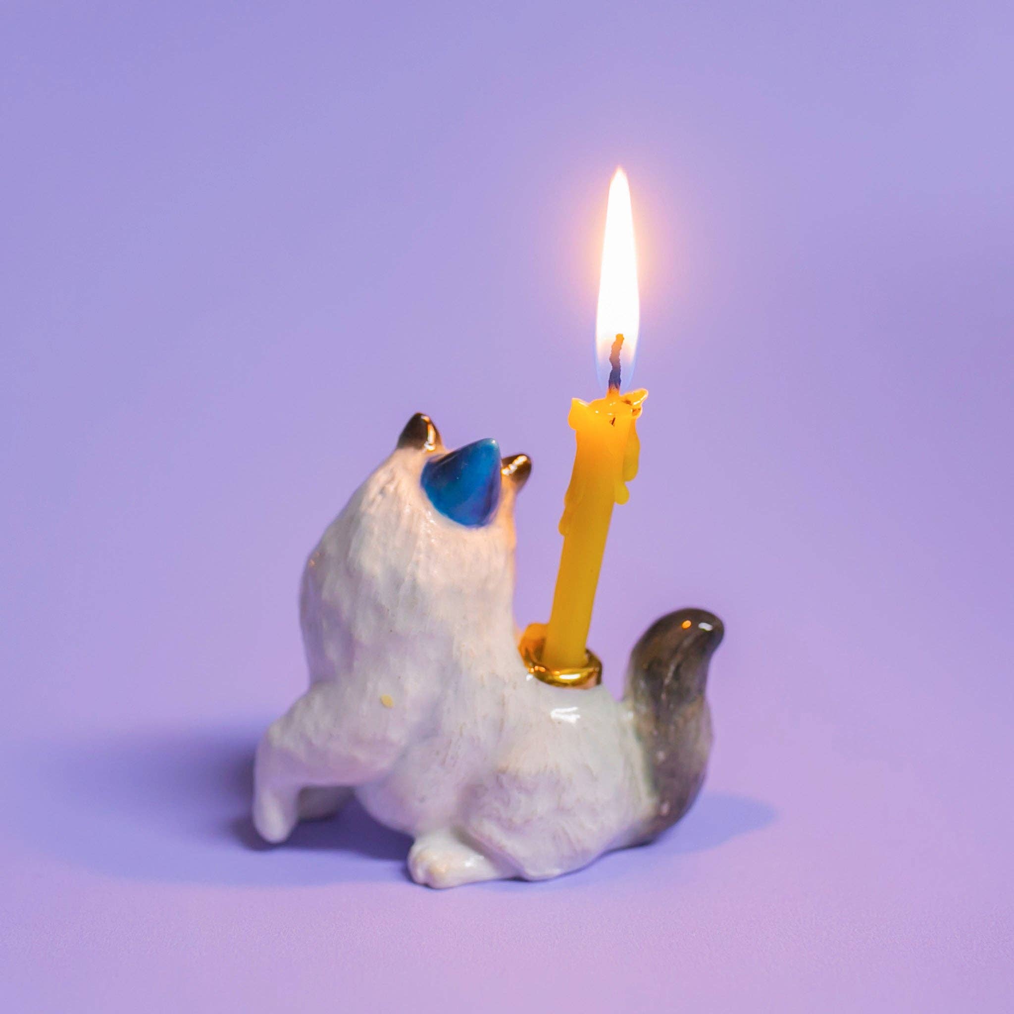 Ragdoll Cat Cake Topper - Final Sale