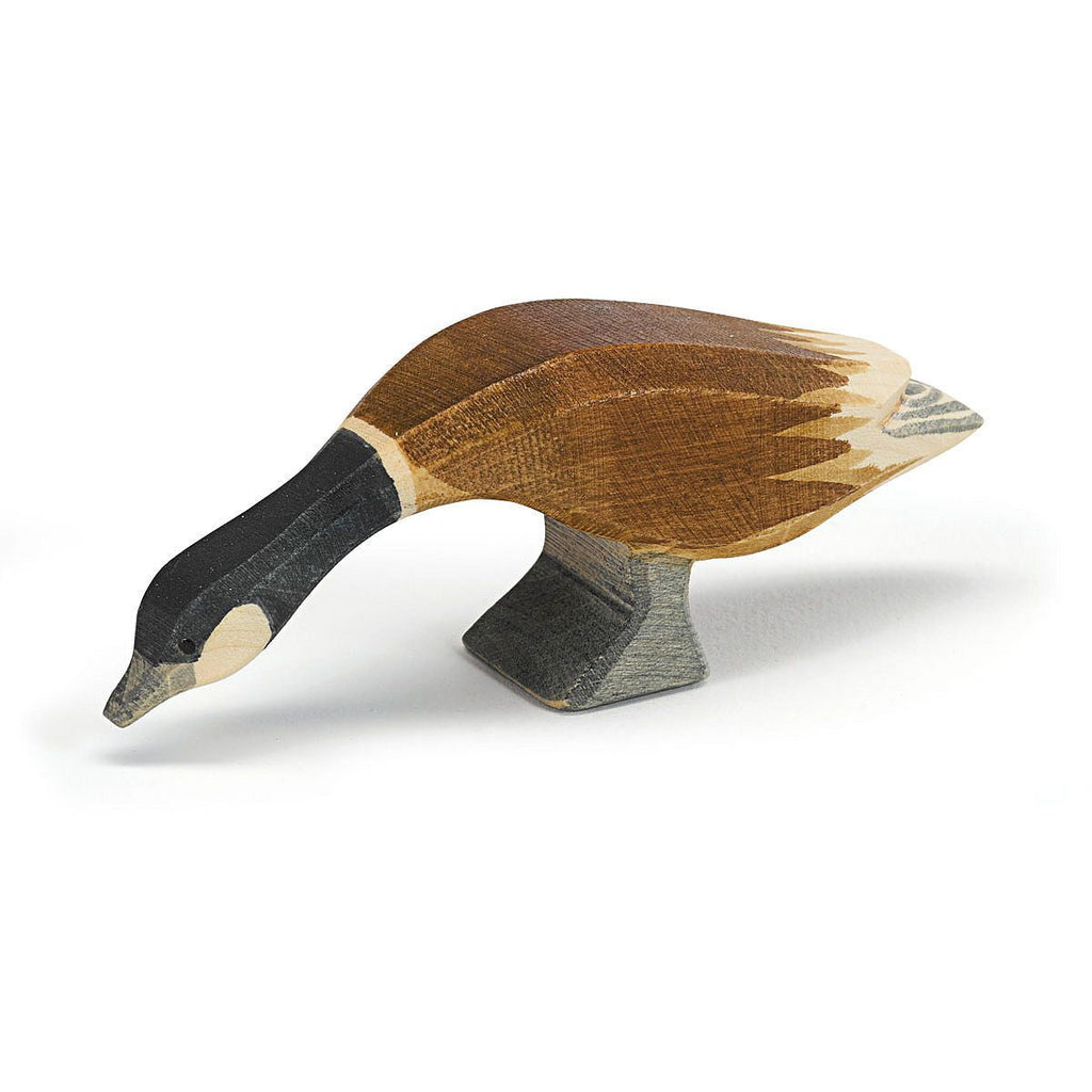 Ostheimer Goose - Canada, Long Neck