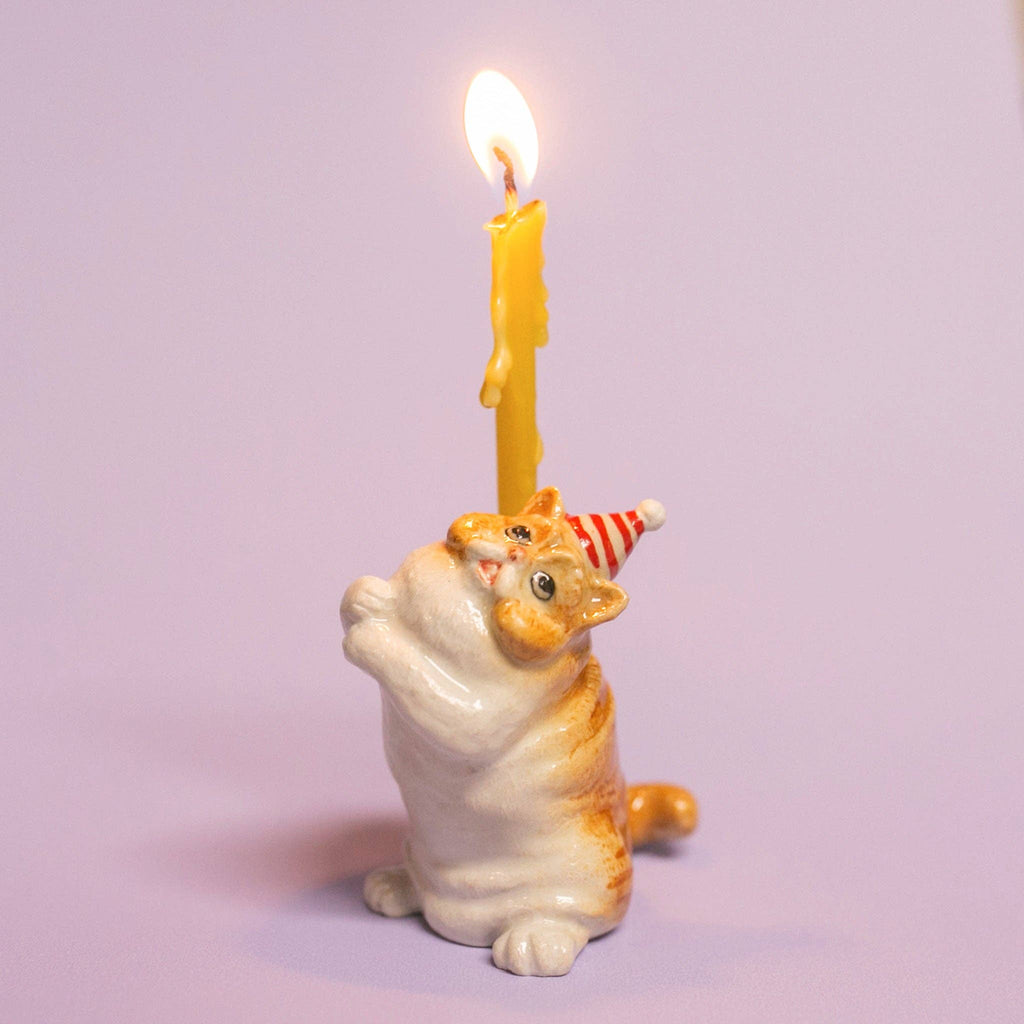 Exotic Shorthair Cat Cake Topper - Final Sale