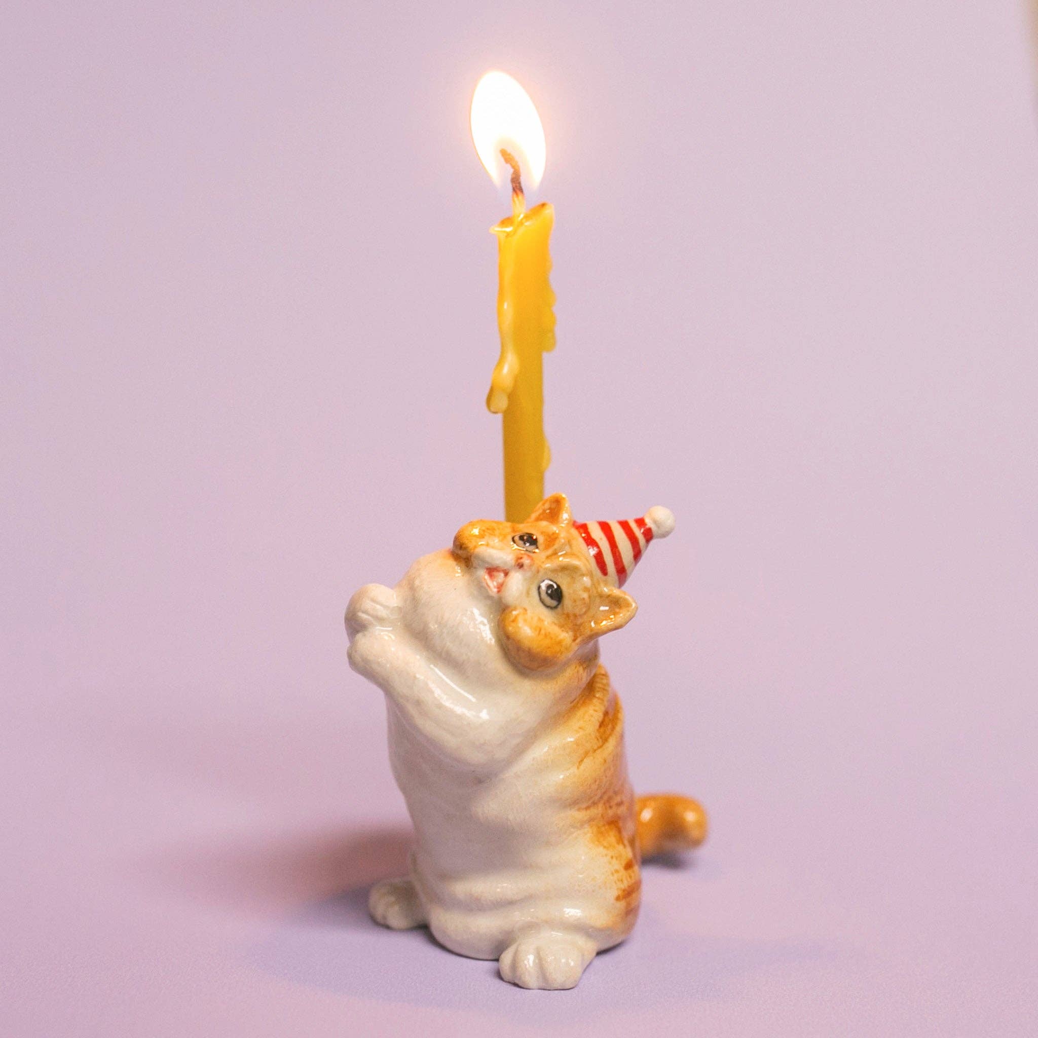 Exotic Shorthair Cat Cake Topper - Final Sale