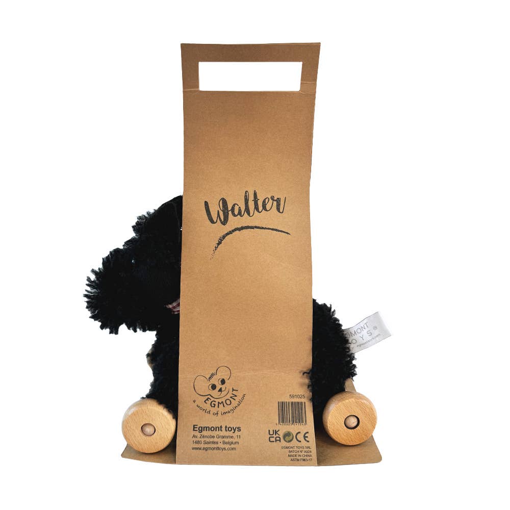 Pull-Along Walter