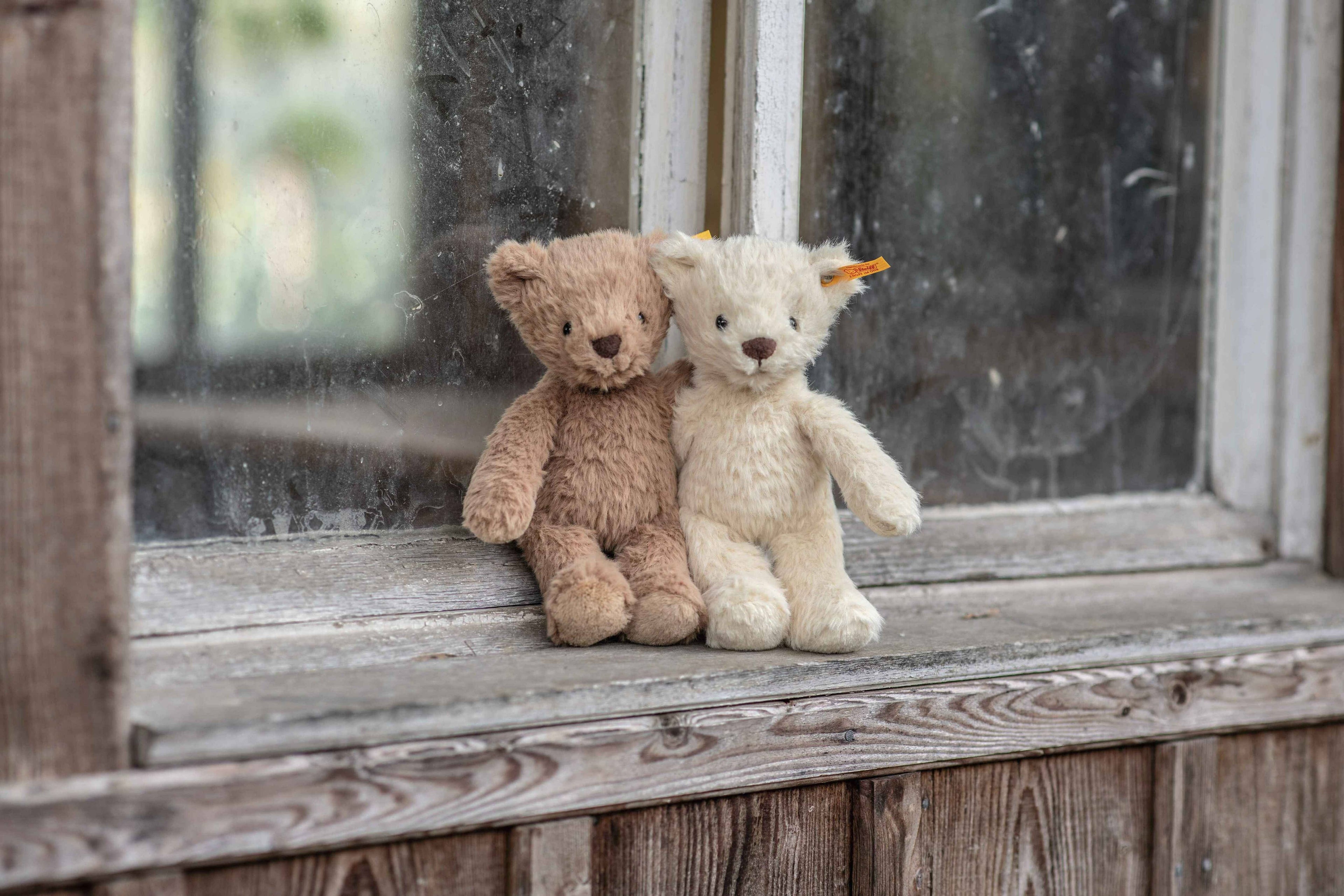 Steiff Thommy Teddy Bear, 8"