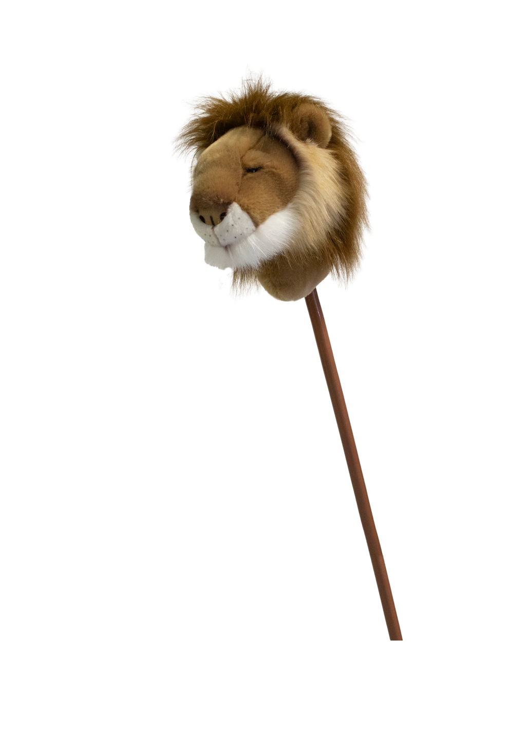 Pretend Play Ride-On Lion