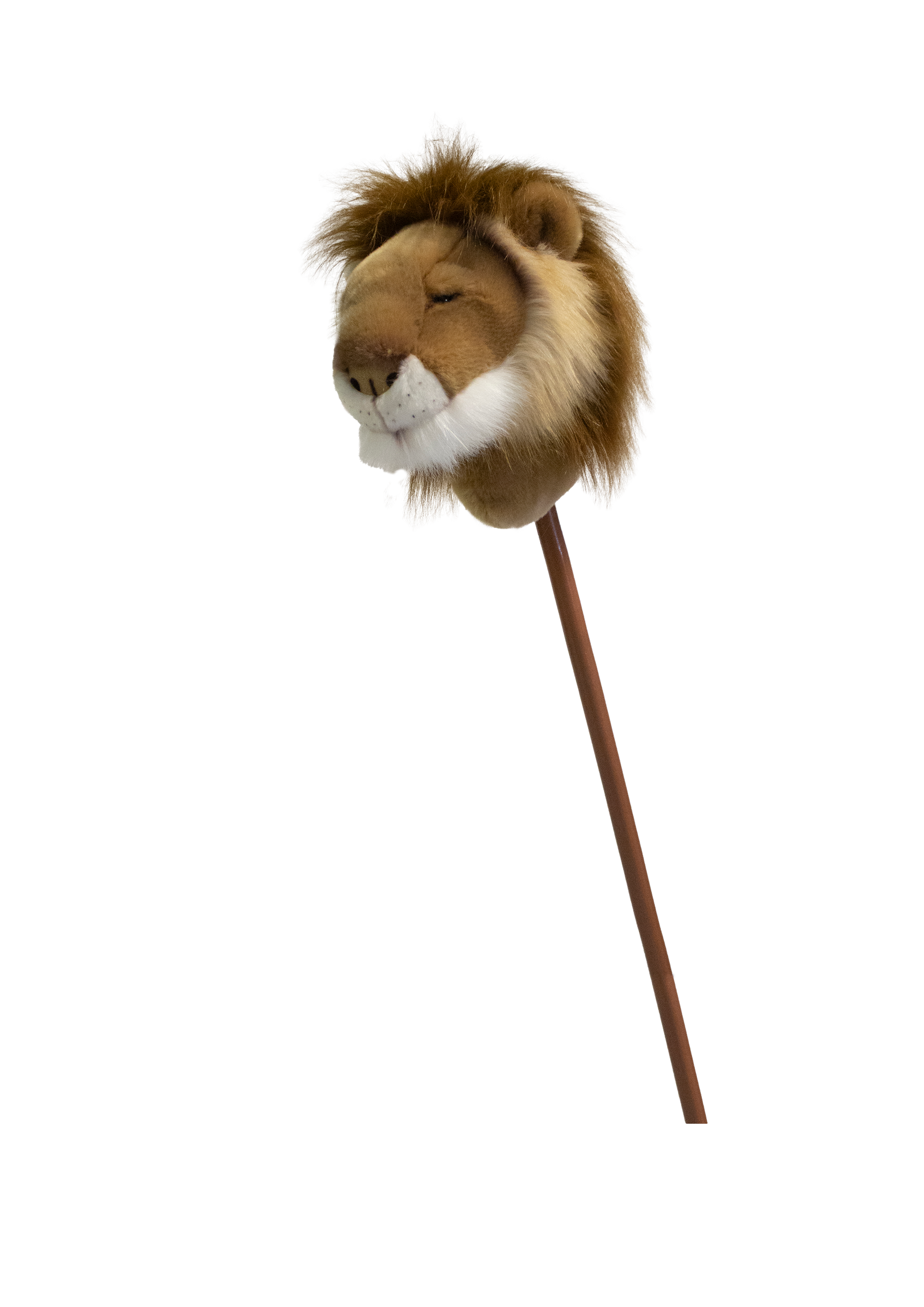 Pretend Play Ride-On Lion