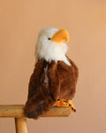 Bukowski - Scout Bald Eagle