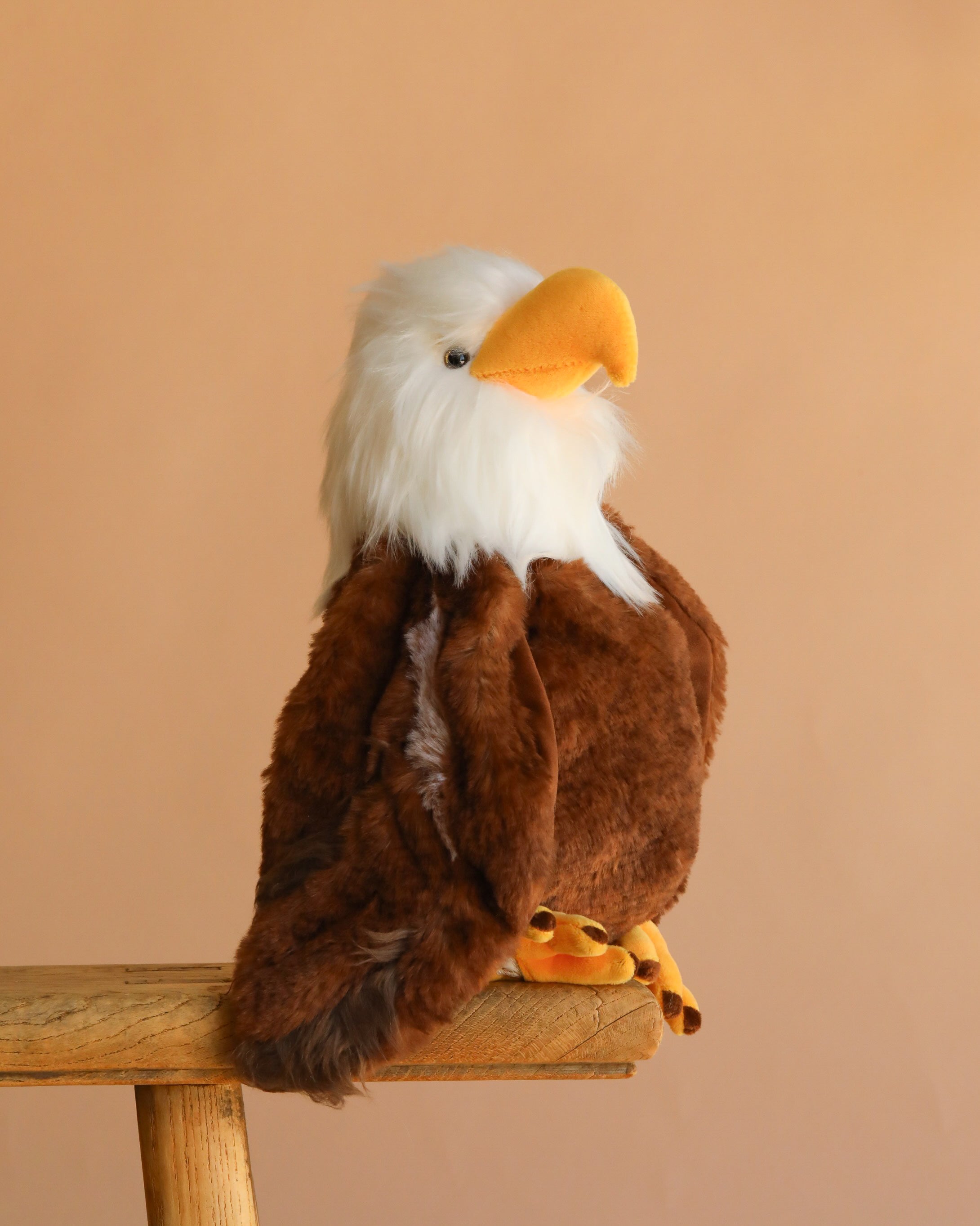 Bukowski - Scout Bald Eagle