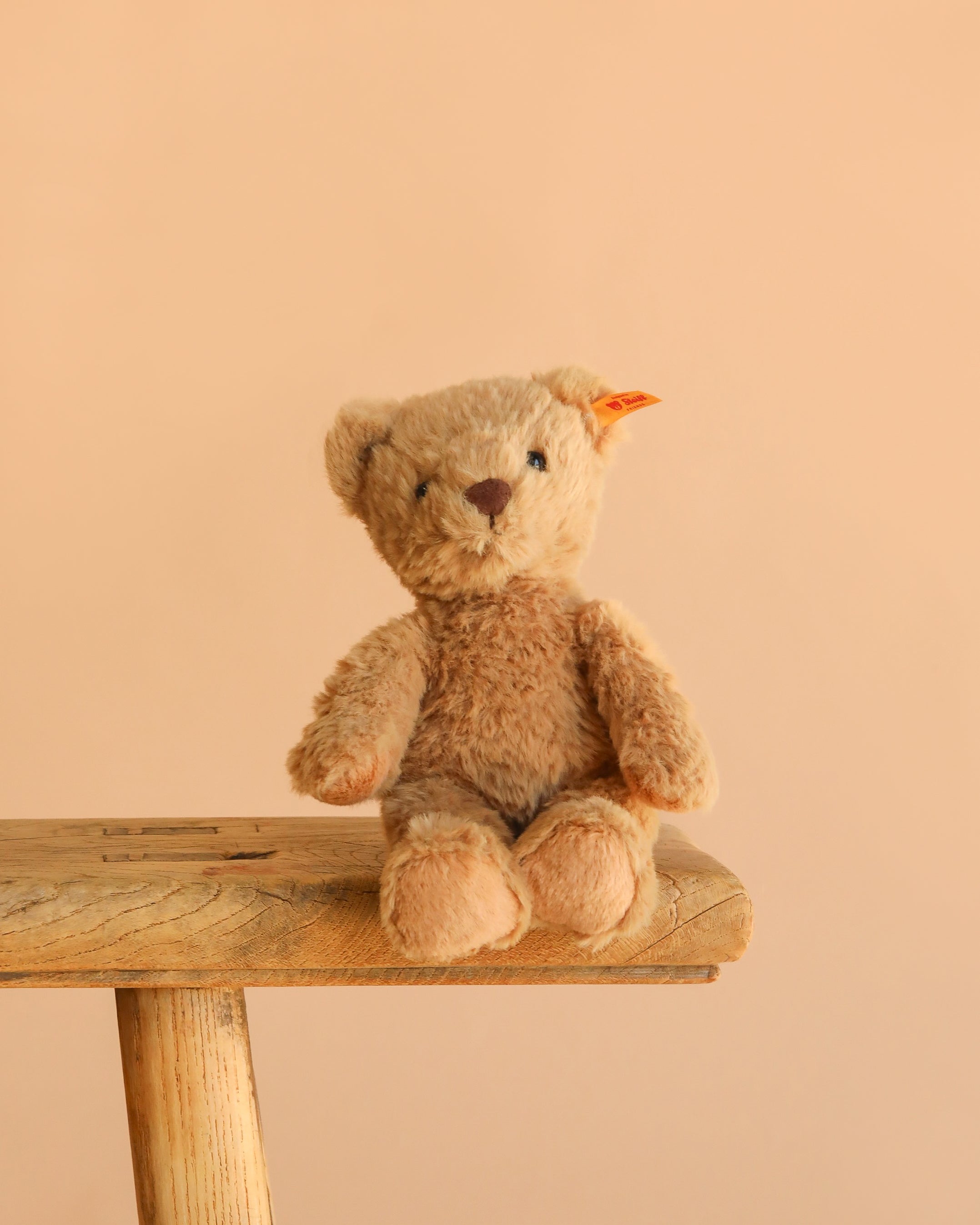 Steiff Thommy Teddy Bear, 8"