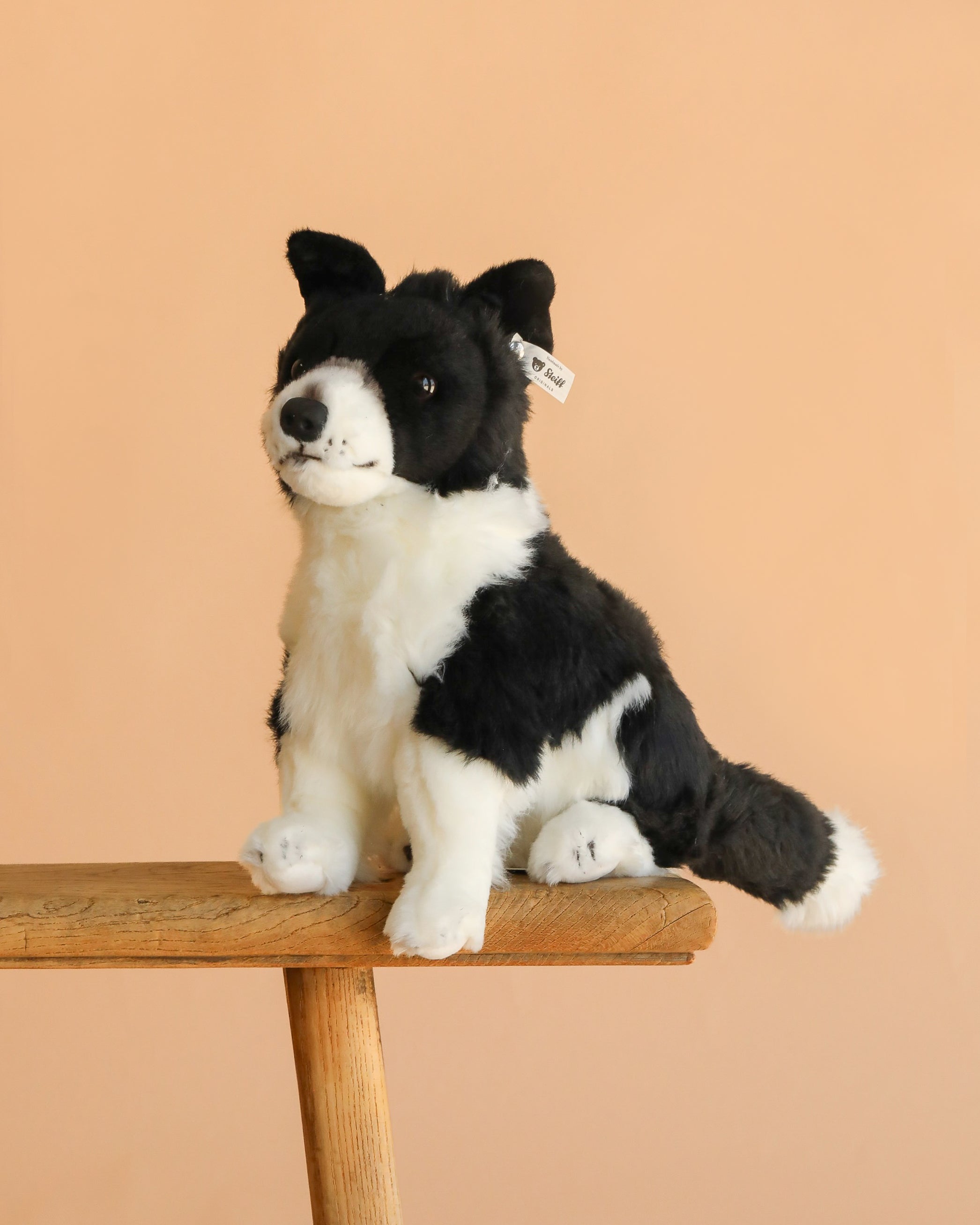 Steiff Jaycee Border Collie Dog