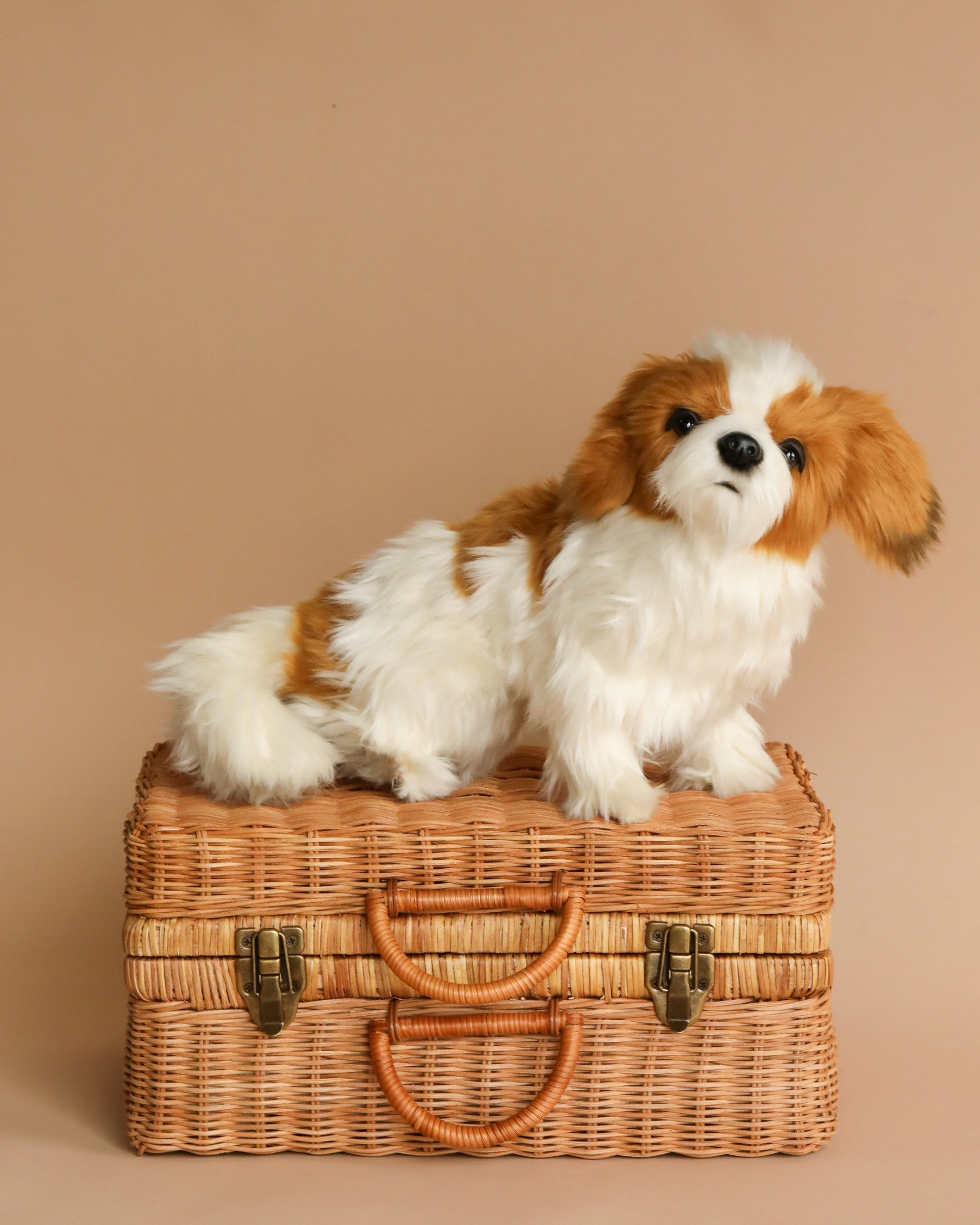 Shih Tzu Dog Stuffed Animal