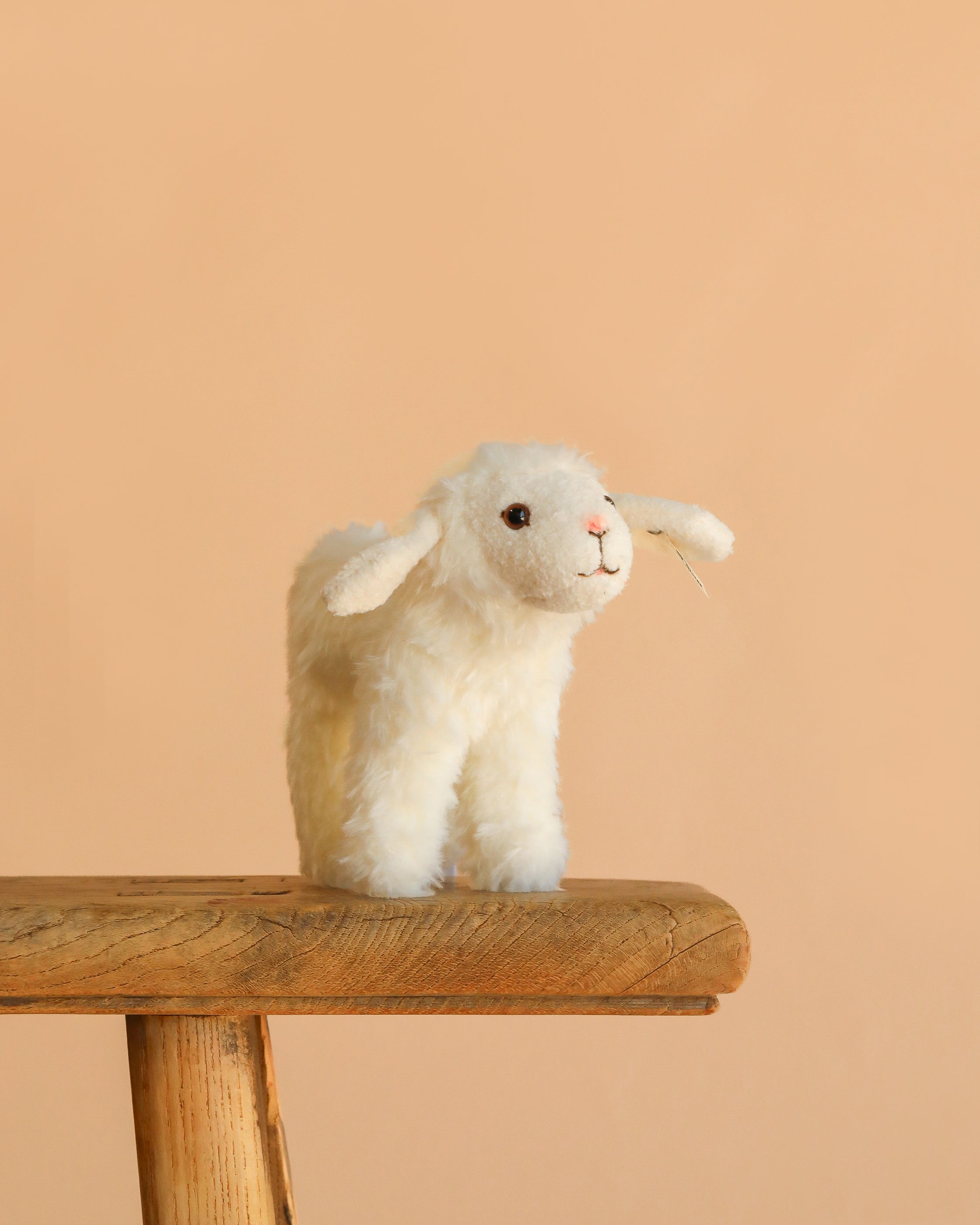 Steiff Anni Lamb
