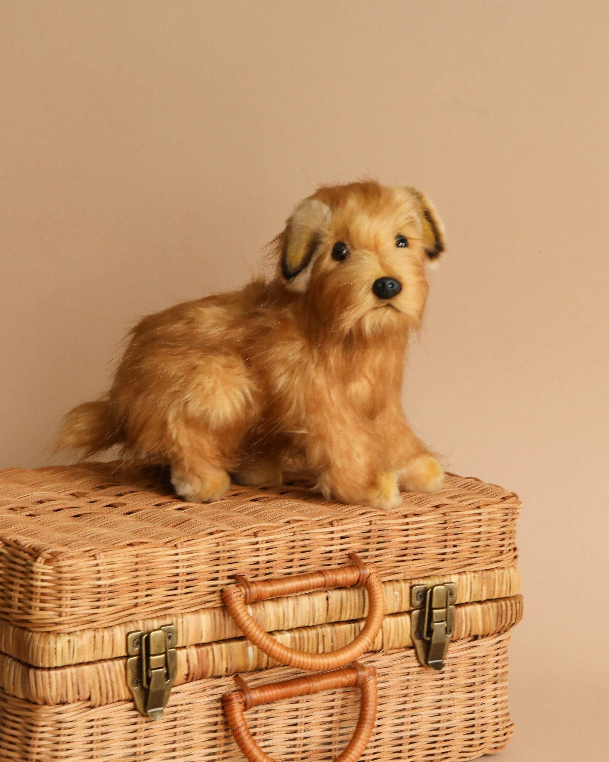 Terrier Dog Stuffed Animal
