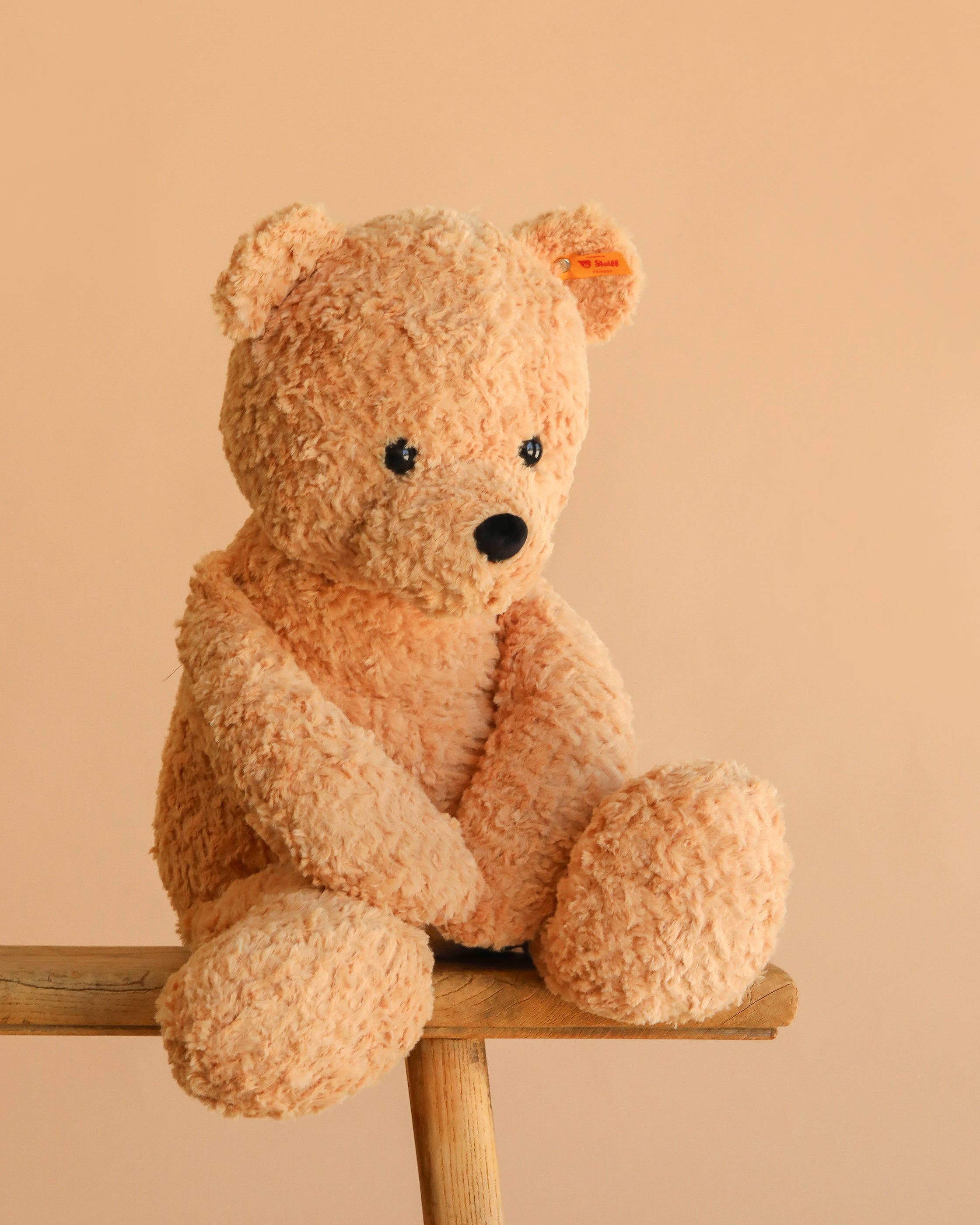 Steiff XL Jimmy Teddy Bear, 22"