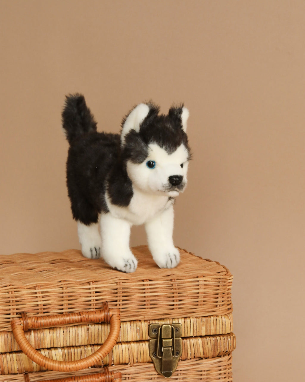 Huskey Puppy Dog Stuffed Animal