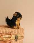 Yorkie Tea Cup Dog Stuffed Animal
