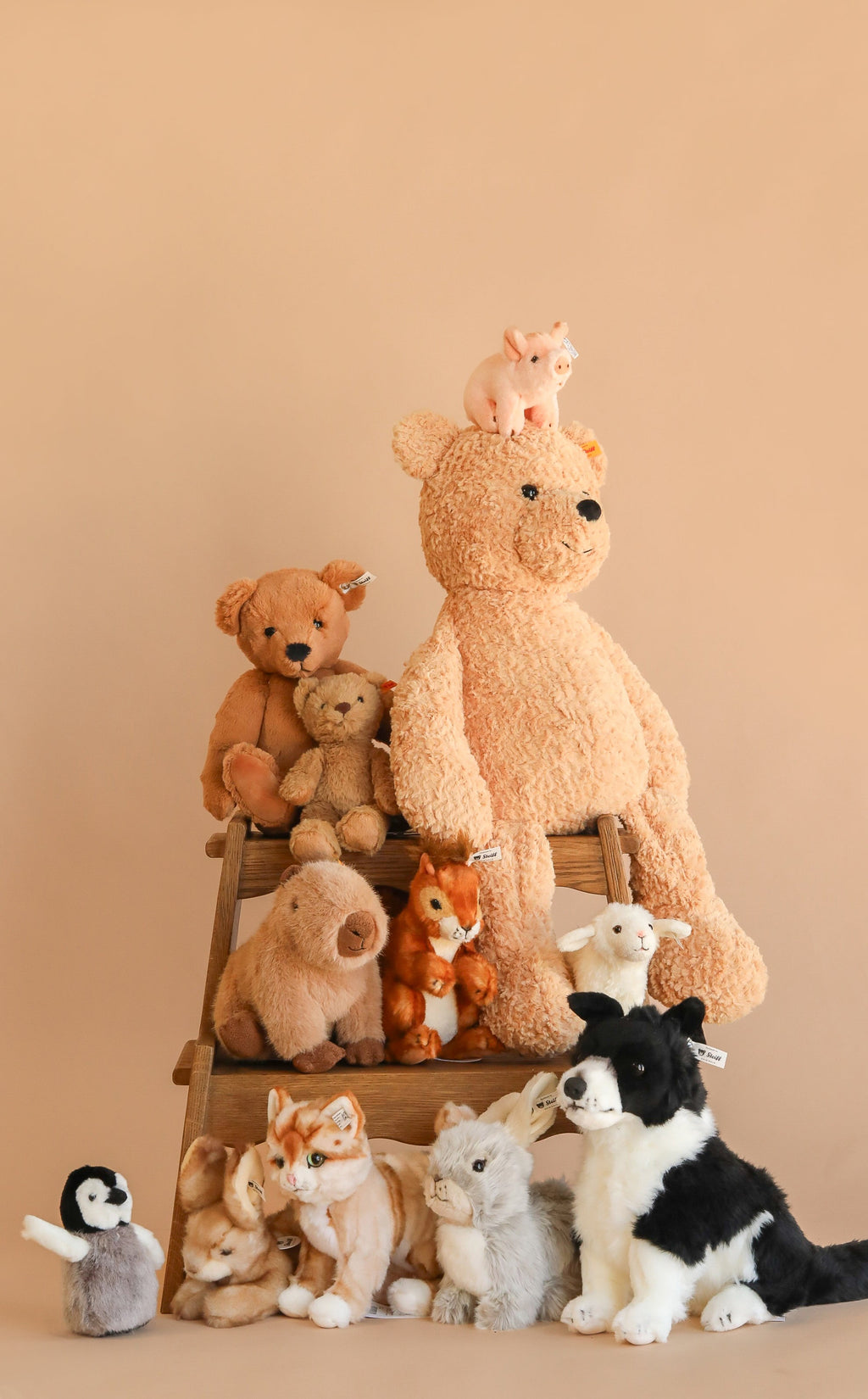 Steiff XL Jimmy Teddy Bear, 22"