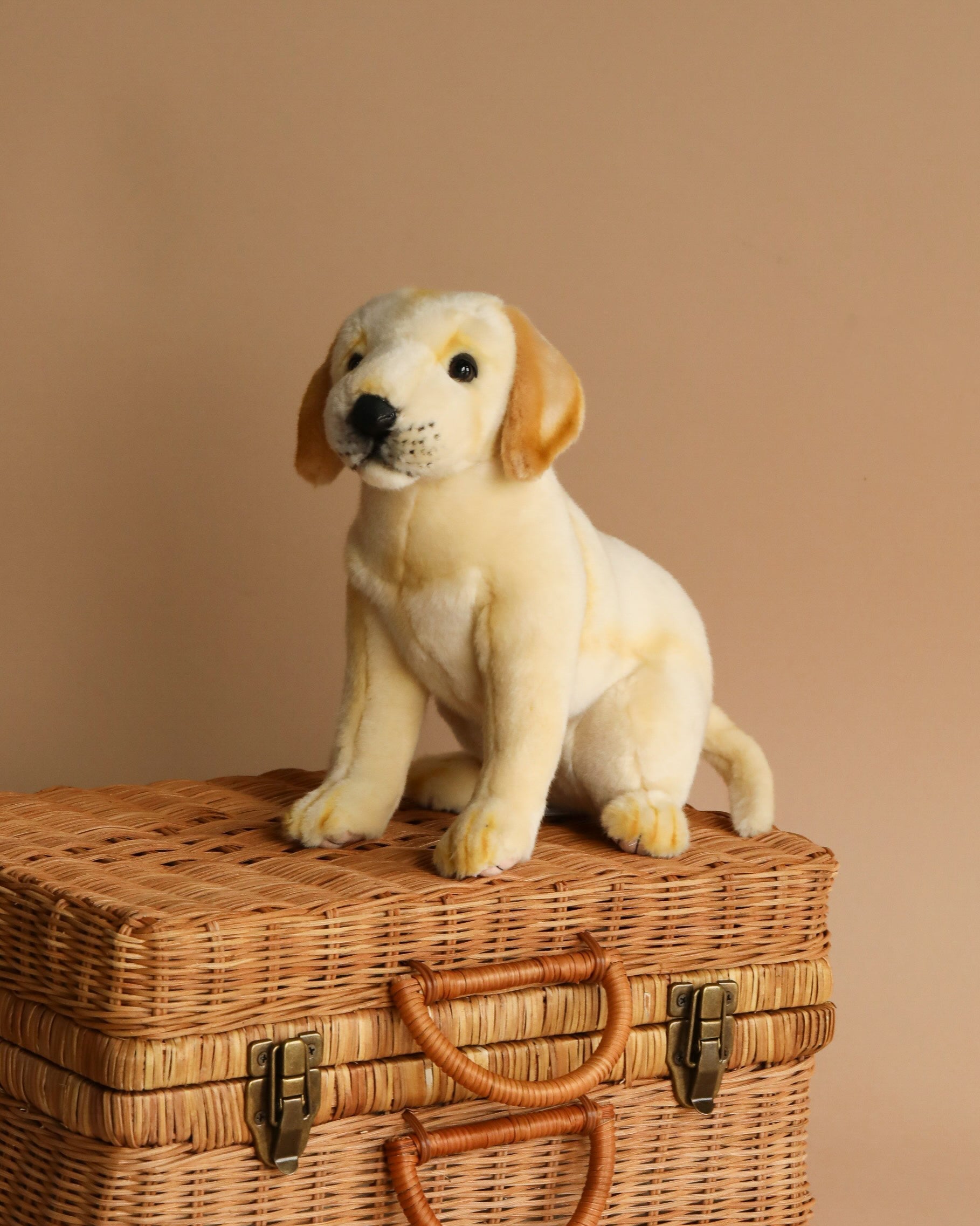 Labrador Dog Stuffed Animal (ships in one week)