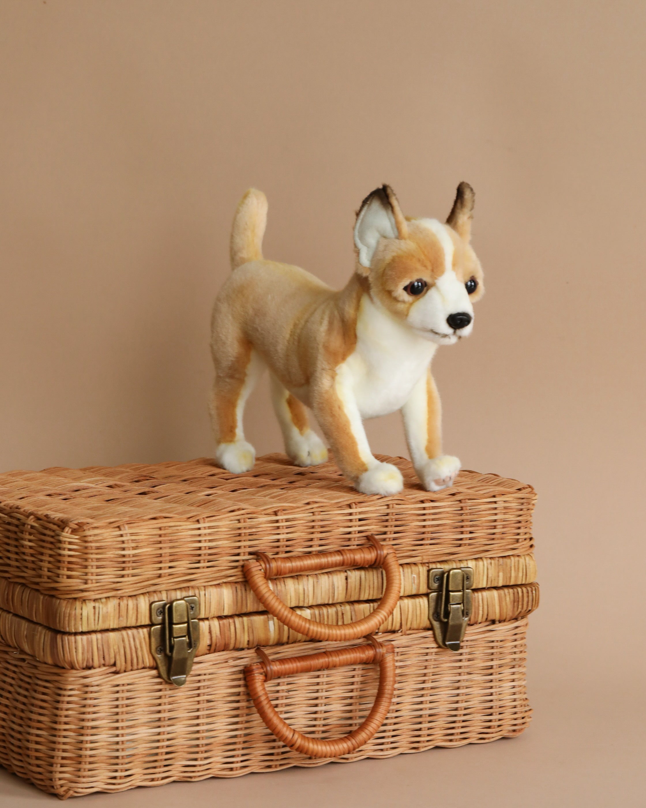 Chihuahua Dog Stuffed Animal (ships in one week)