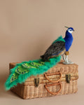 Peacock Stuffed Animal (ships in one week)