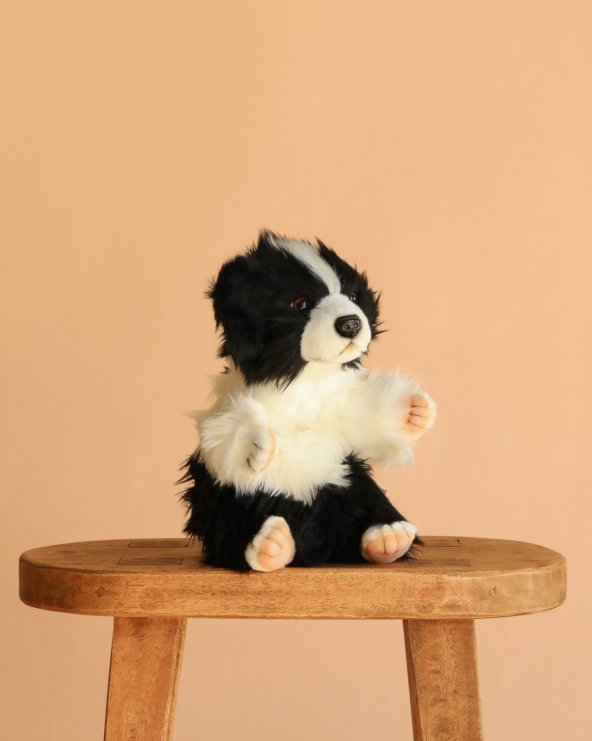 Border Collie Dog Puppet