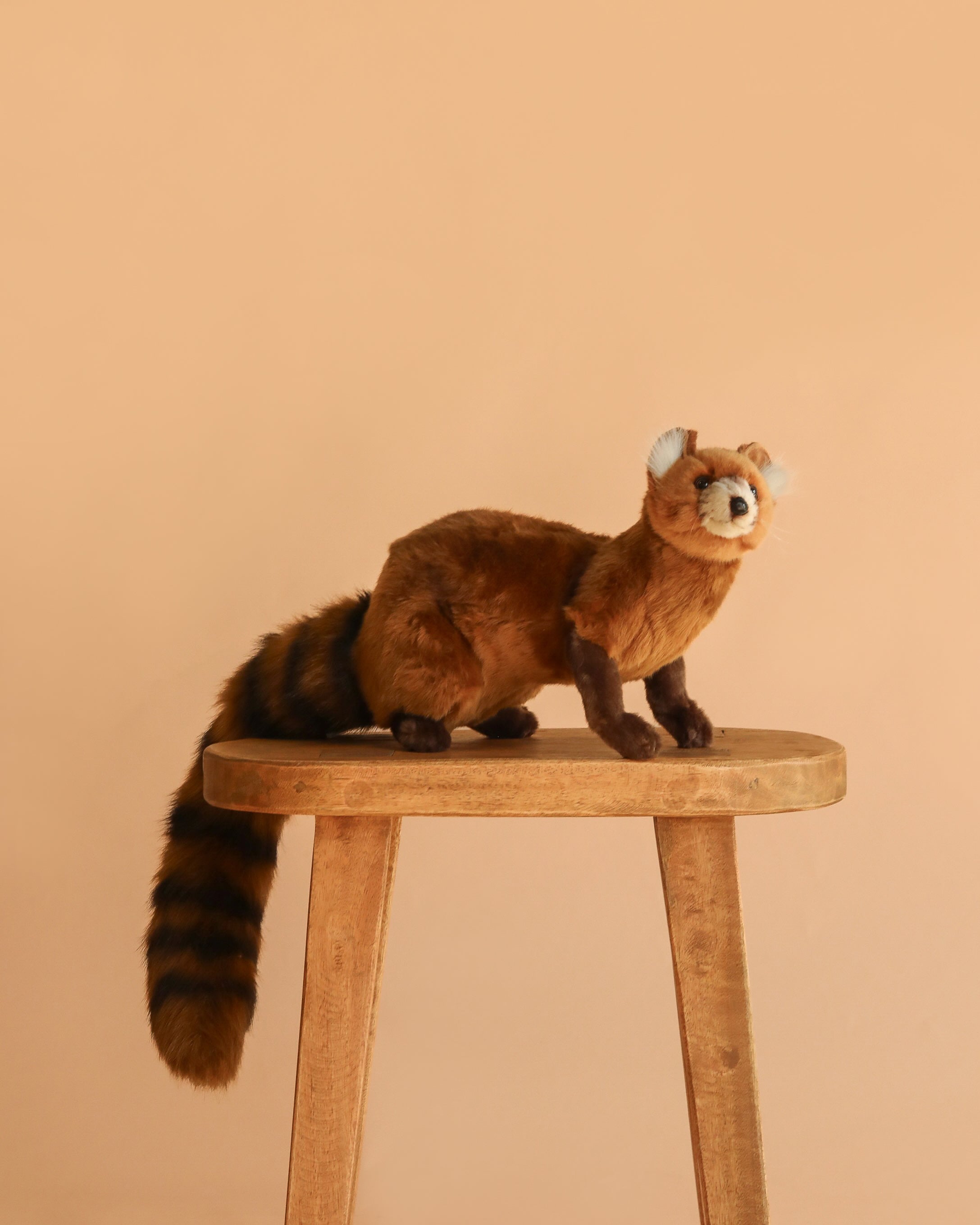 Mongoose Stuffed Animal