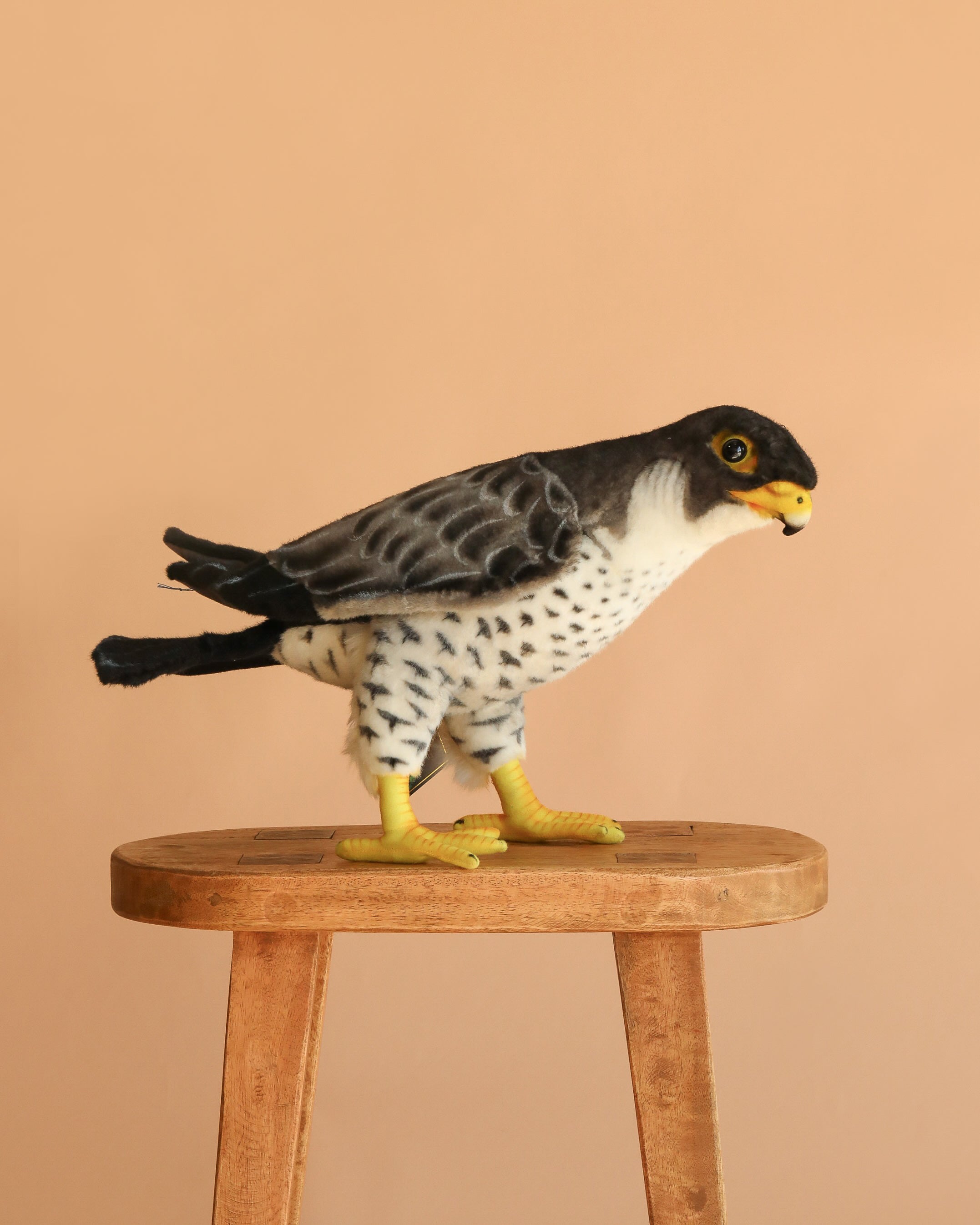 Falcon Bird Stuffed Animal