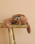 Maileg Plush Sleeping Bunny - Soft Brown