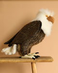 American Eagle Stuffed Animal (ships in one week)