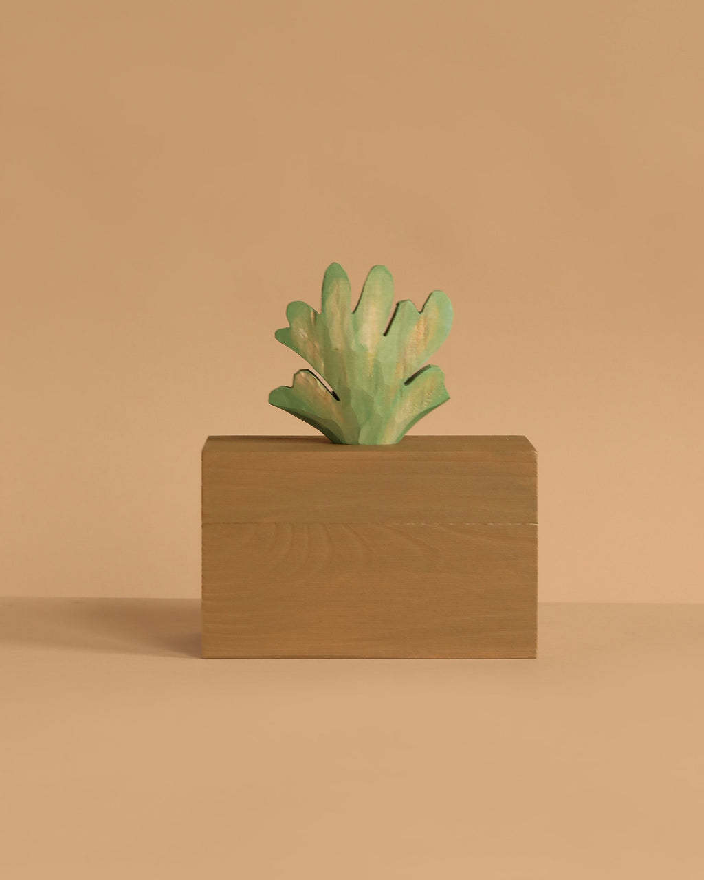 Ferm Living Hand Carved Wooden Harbour Box - Coral