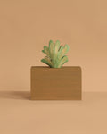 Ferm Living Hand Carved Wooden Harbour Box - Coral