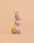 Maileg Rabbit With Accessories, Micro - Sand - Rose