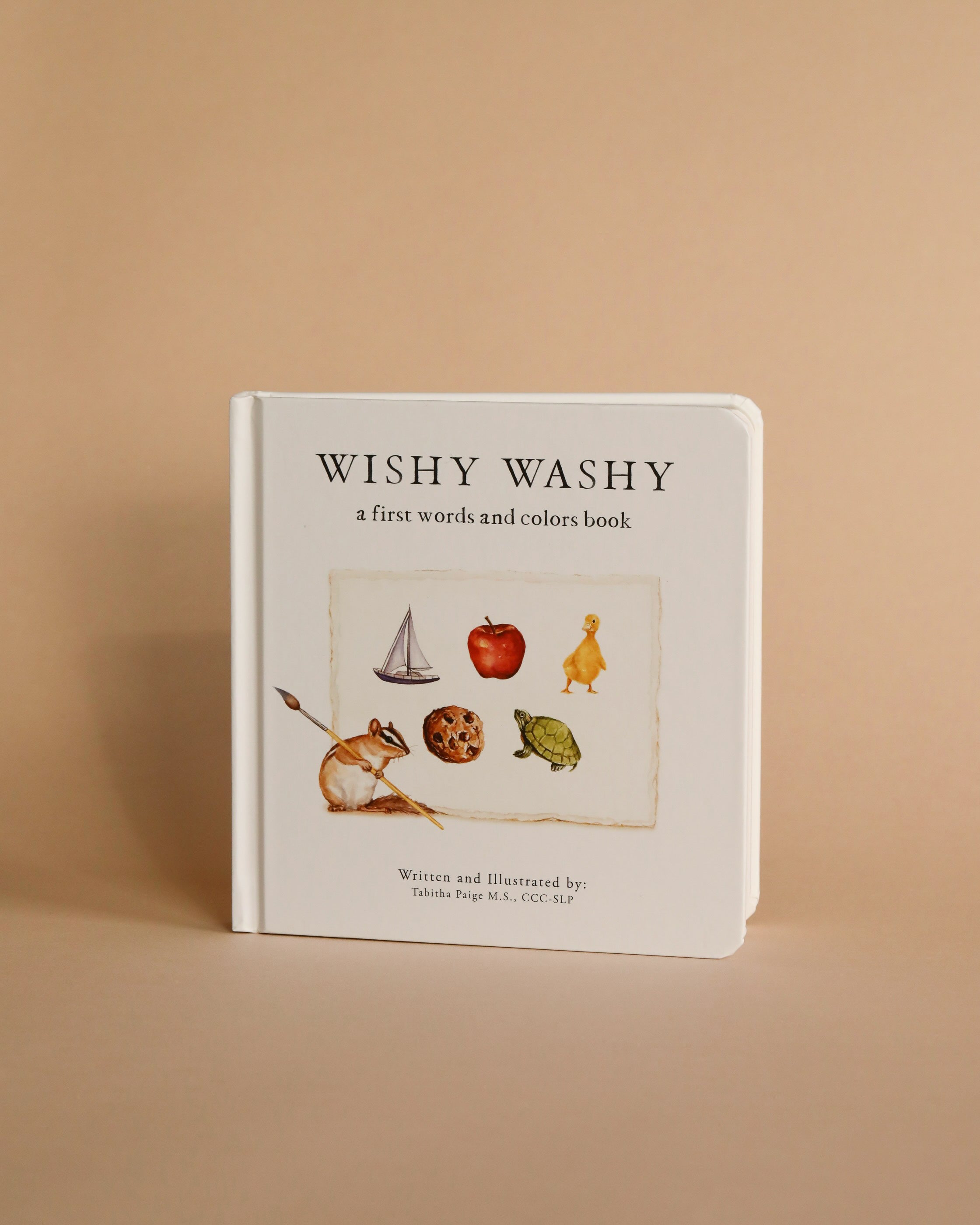 Wishy Washy: A Board Book of First Words and Colors