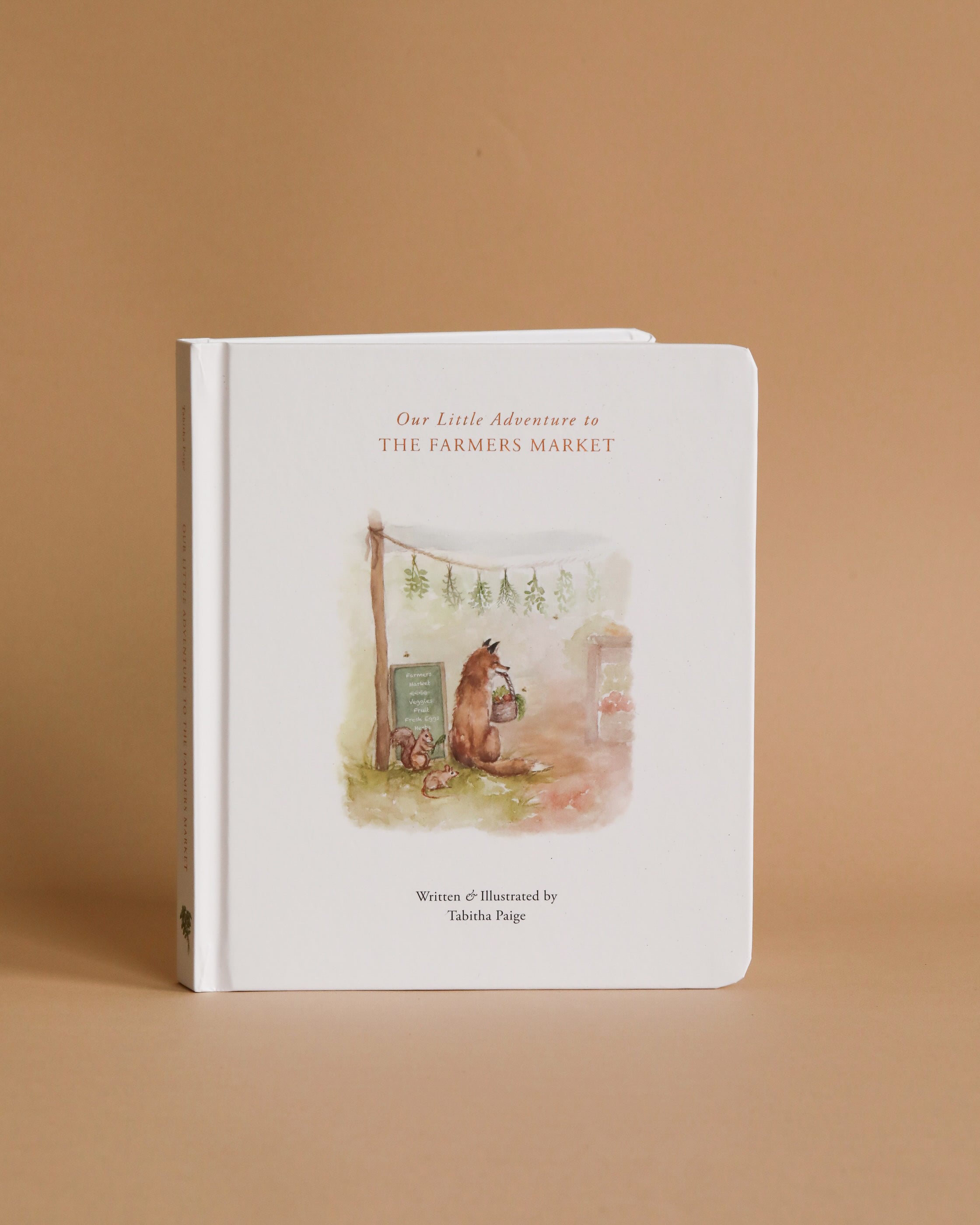 Our Little Adventures To the Farmers Market - Board Book