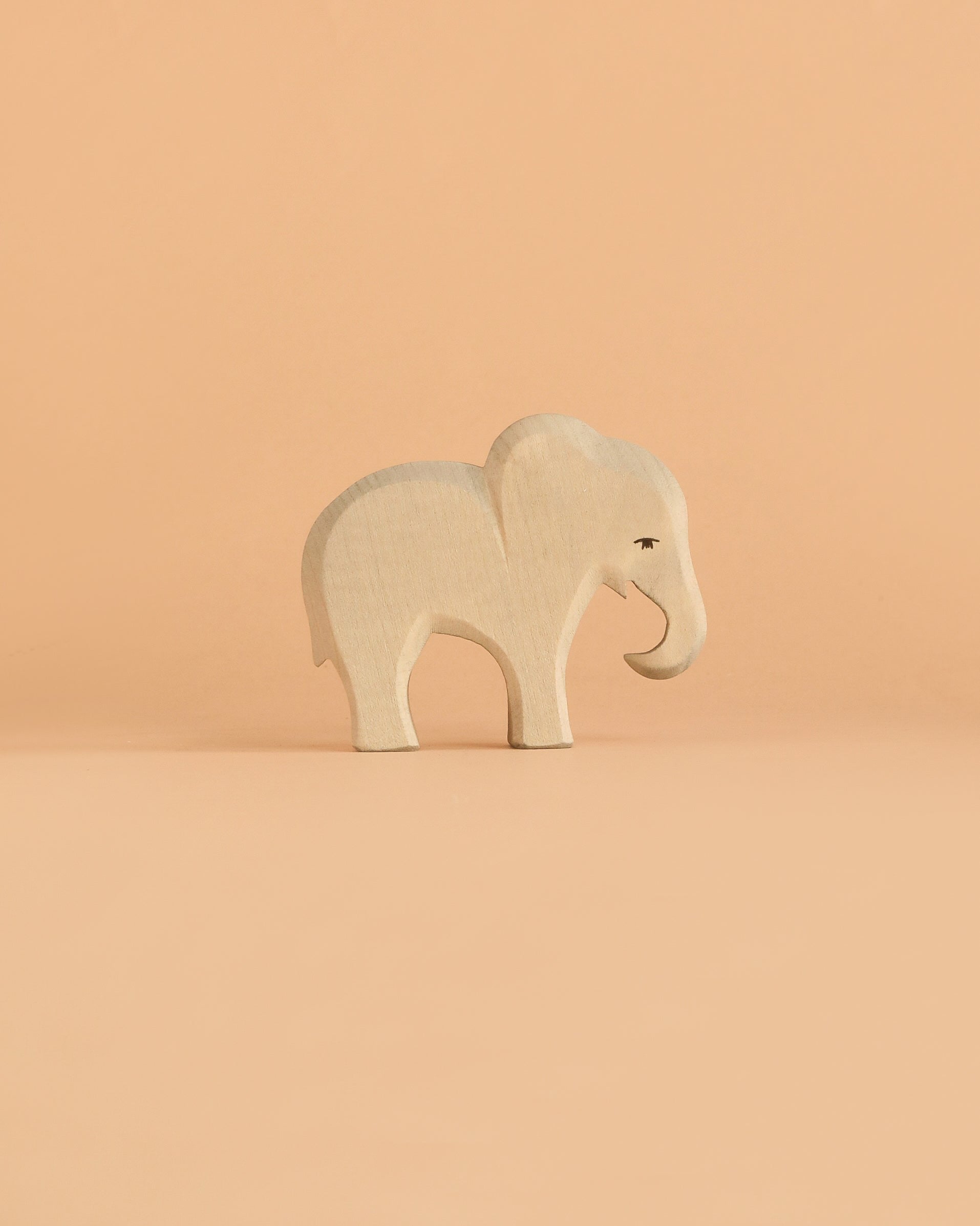Ostheimer Small Elephant - Eating