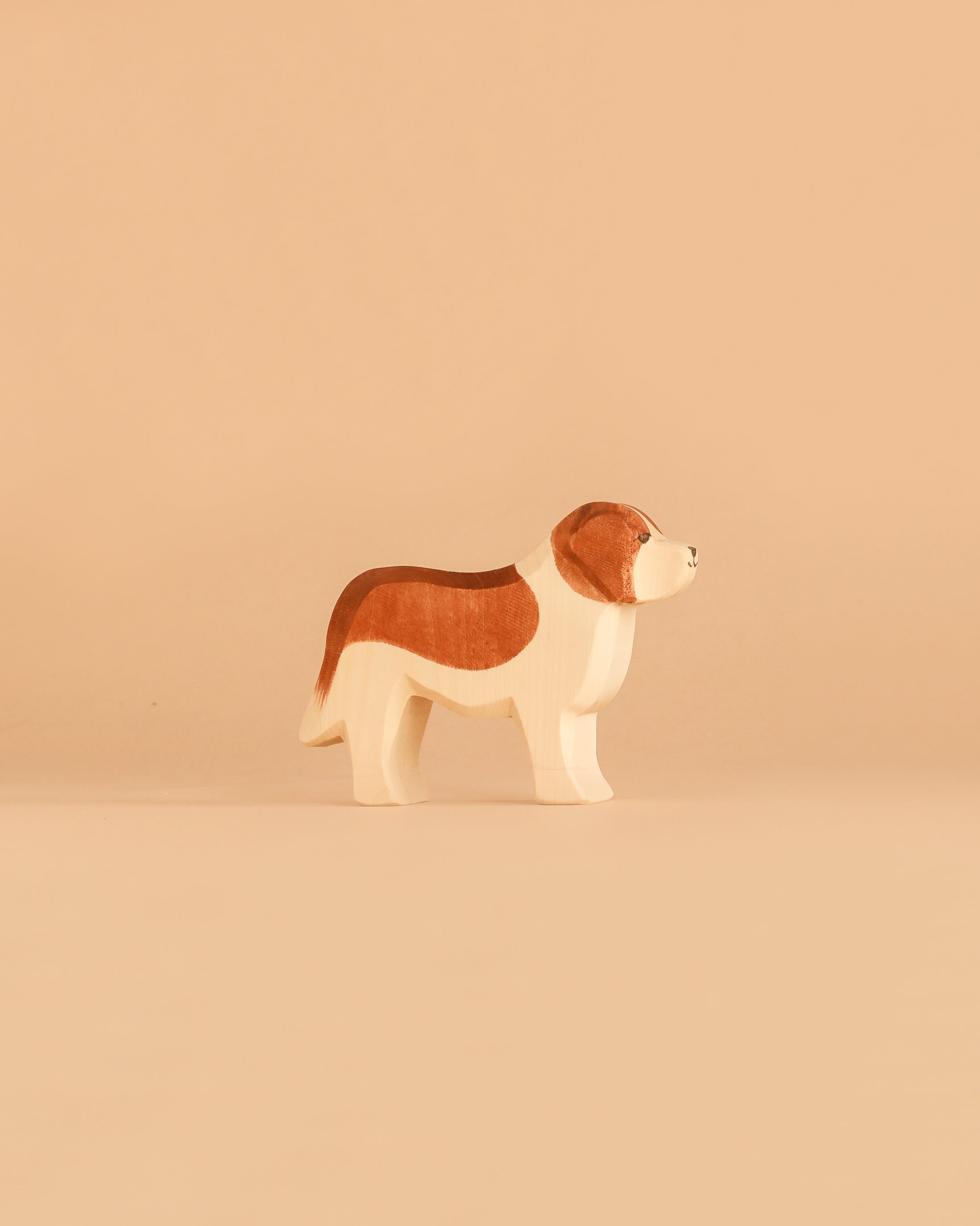 Ostheimer Dog - Saint Bernhard